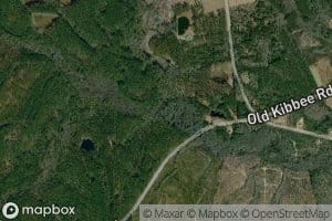 Bobtail Creek