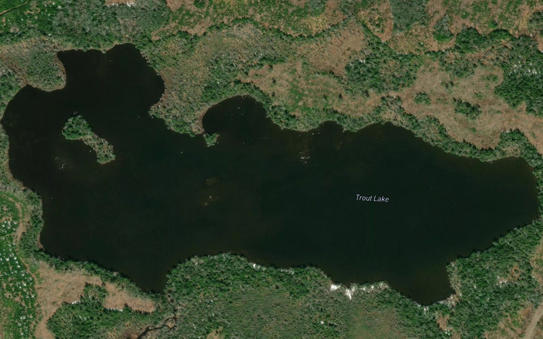 Satellite map of the Trout Lake