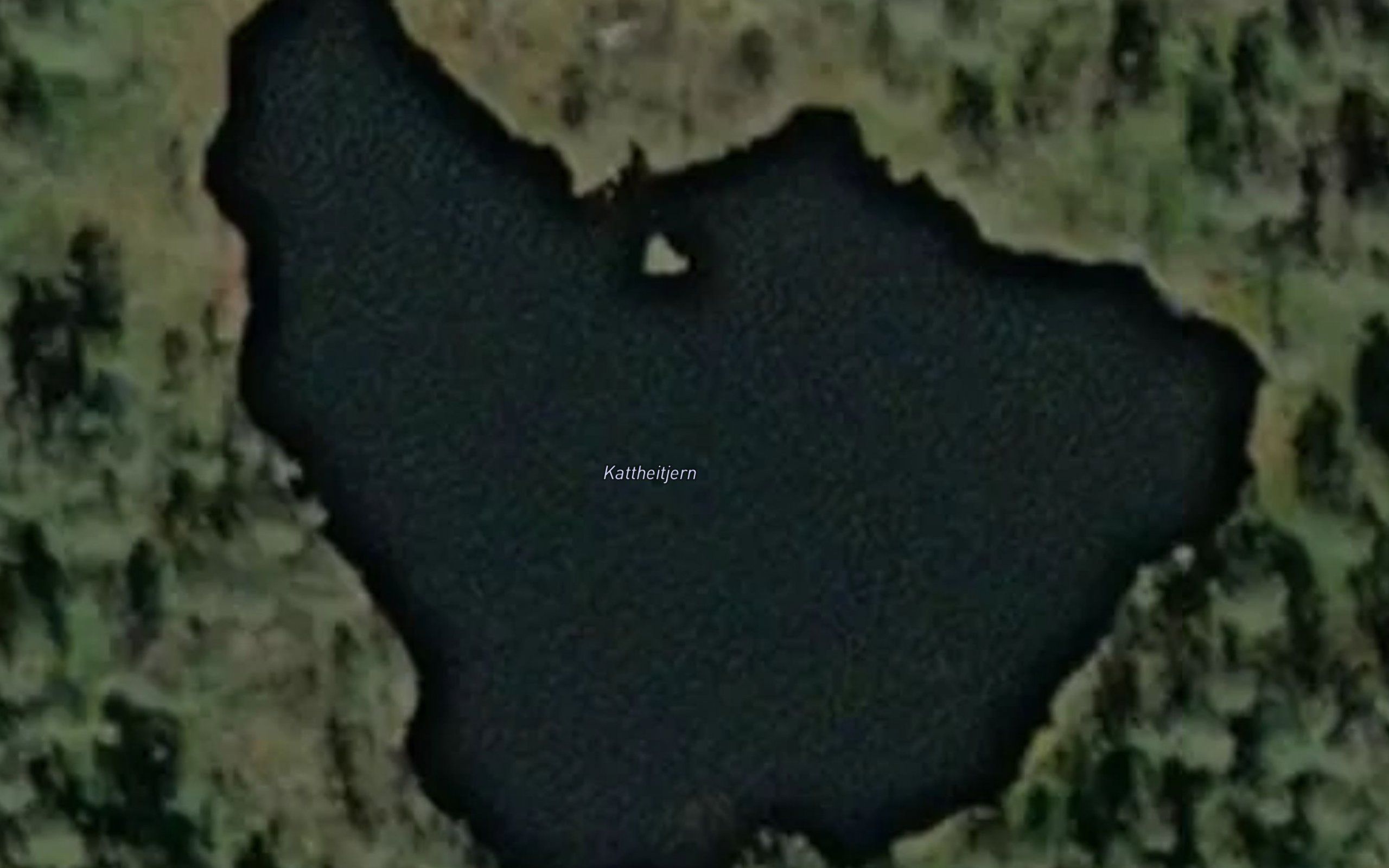 Kattheitjern