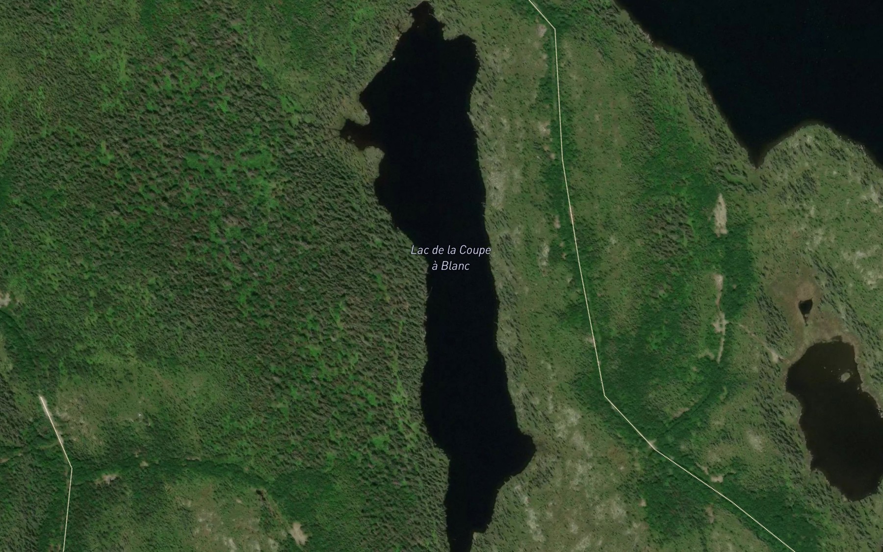 Satellite map of the Lac de la Coupe a Blanc