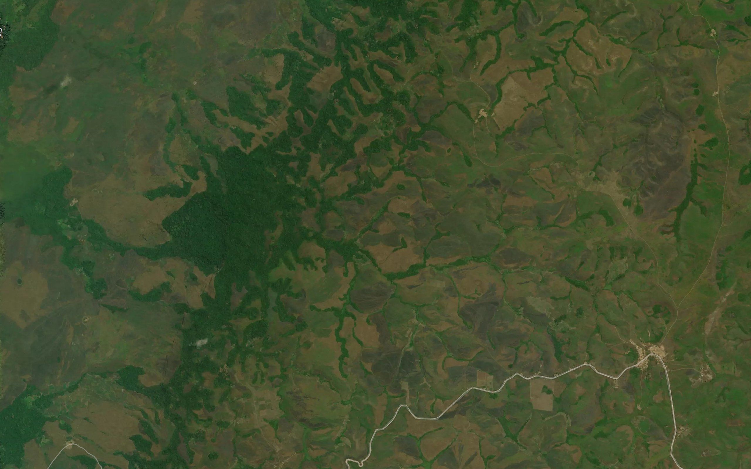 Vungo