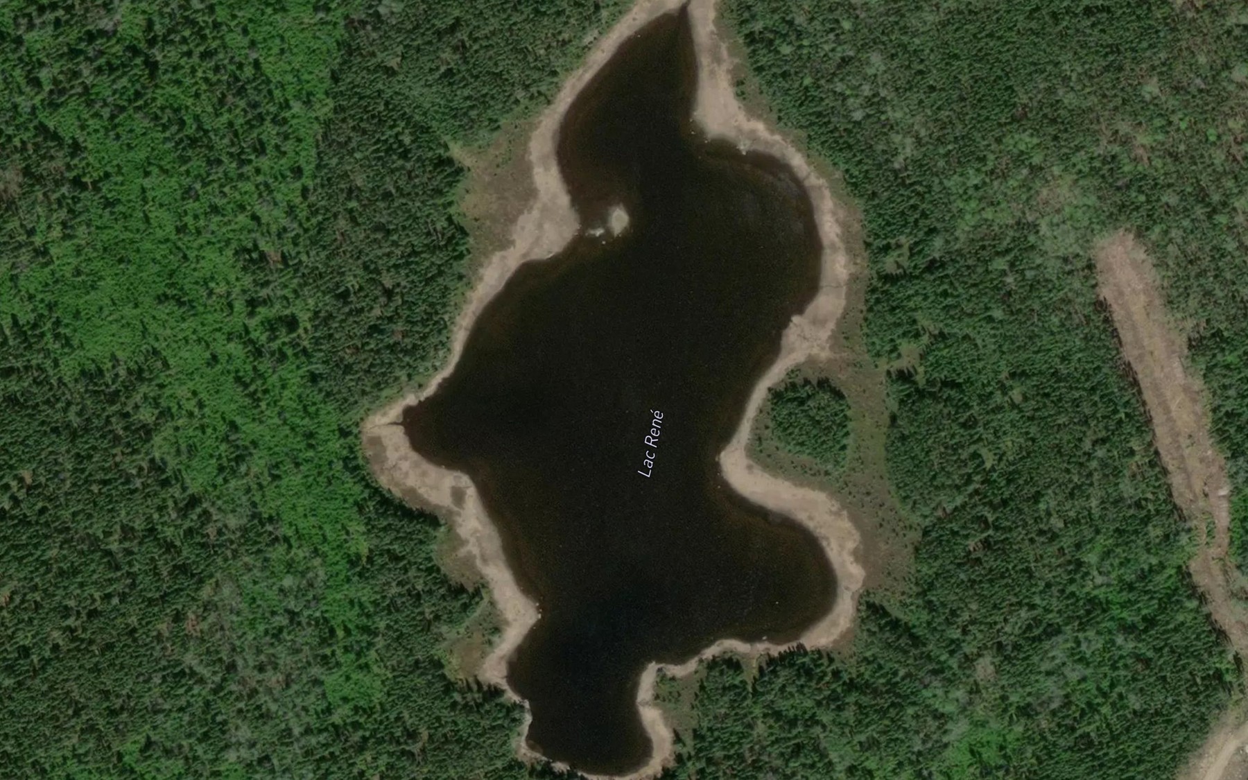 Satellite map of the Lac Rene