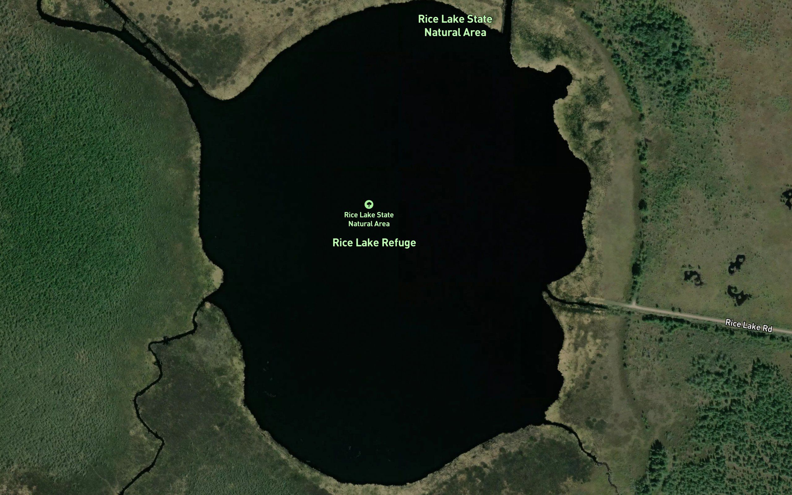 Rice Lake