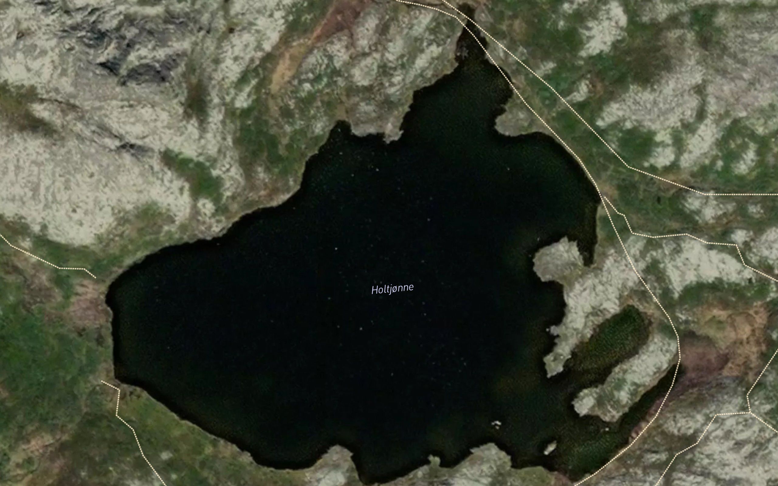 Holtjorni