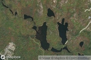 East Pine Island Pond