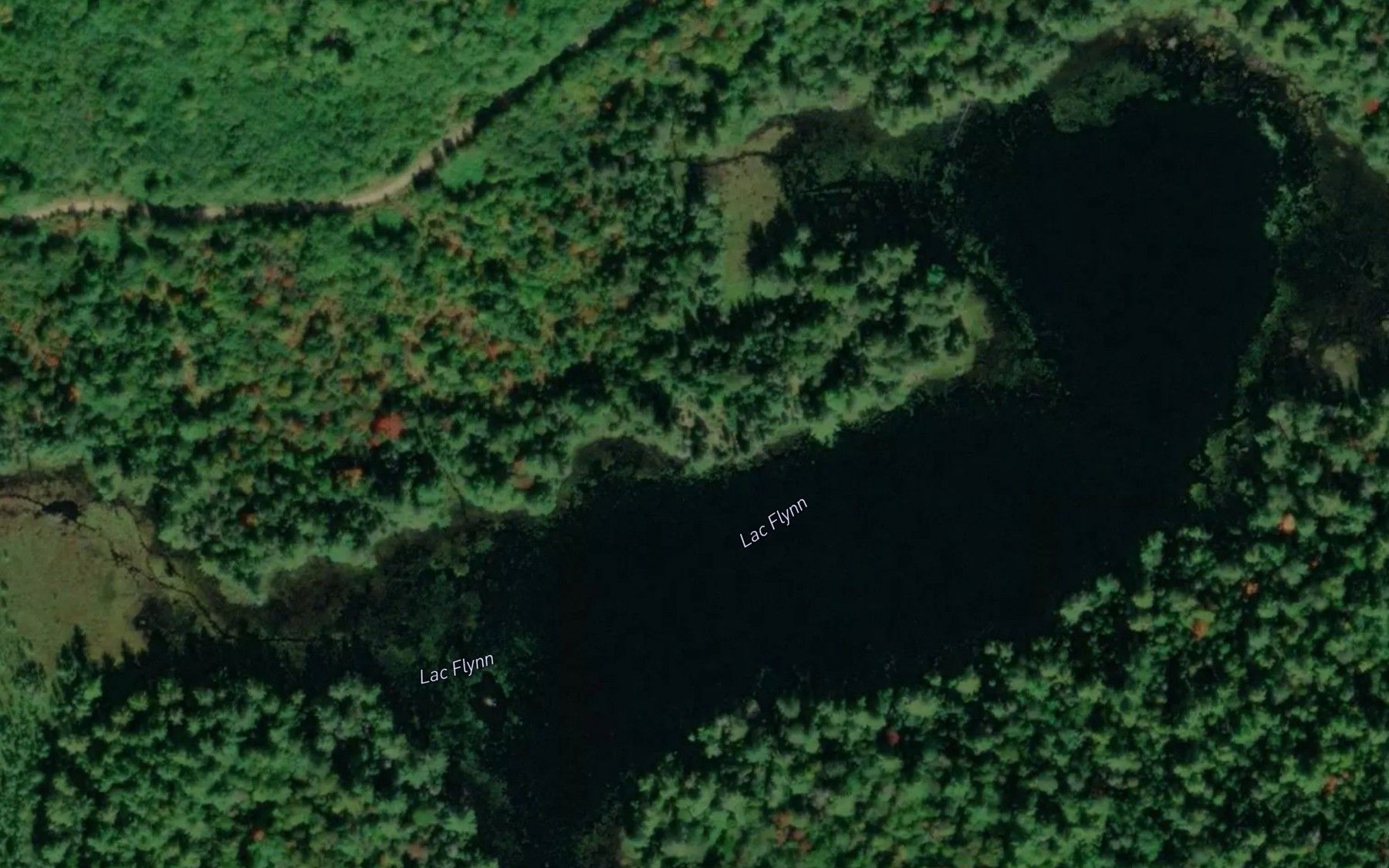 Satellite map of the Lac Flynn