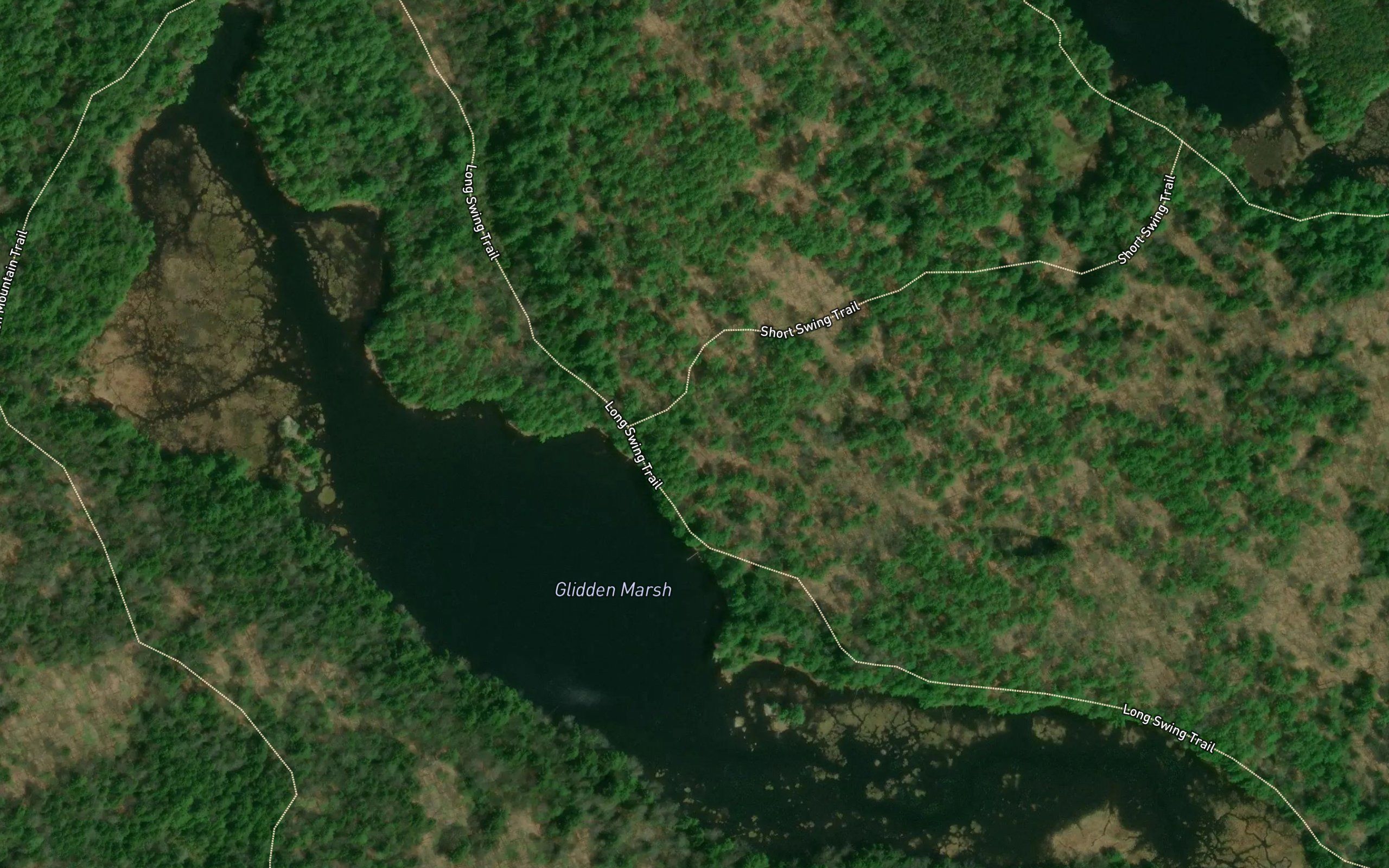 Glidden Marsh