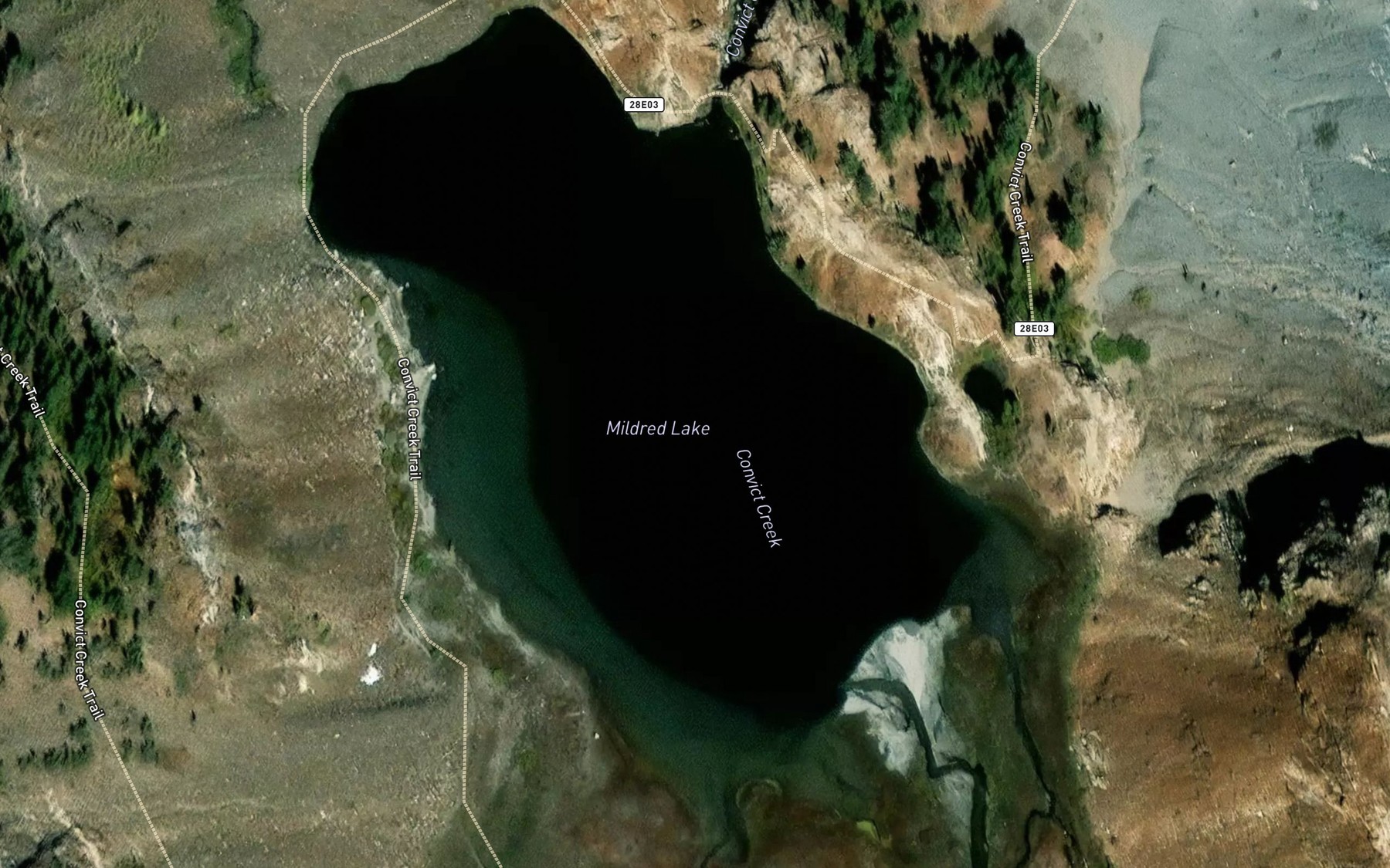 Satellite map of the Mildred Lake
