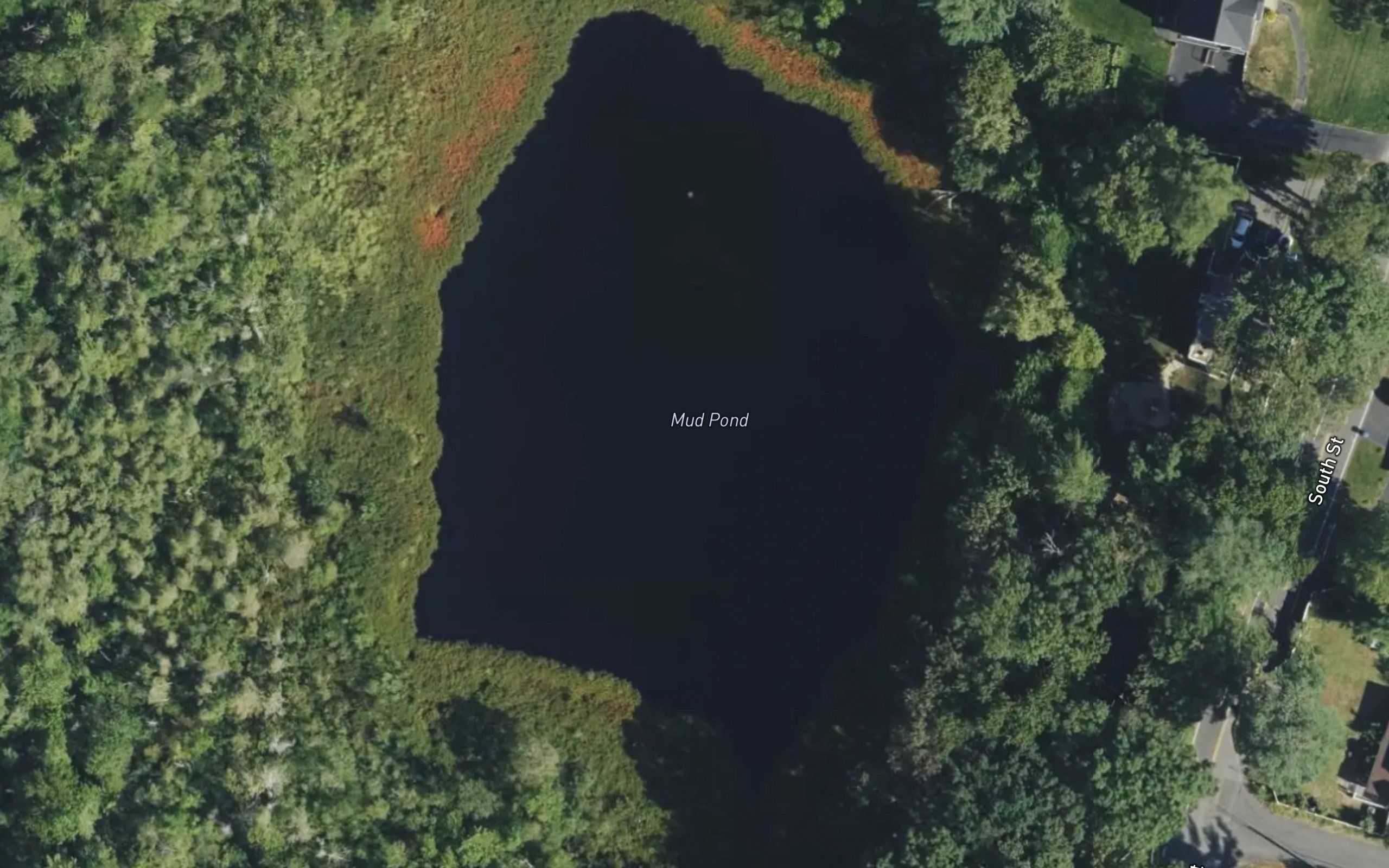 Mud Pond
