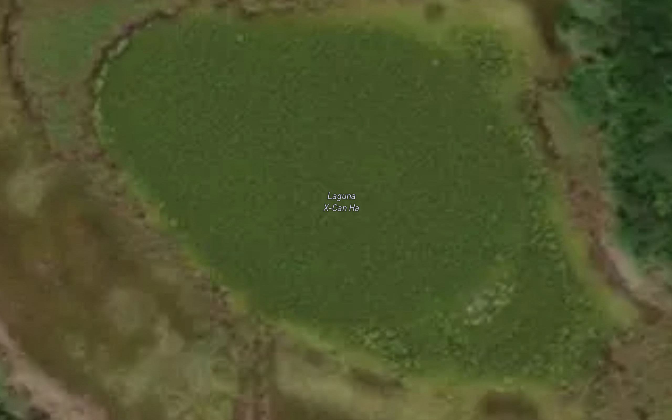 Laguna X-canha