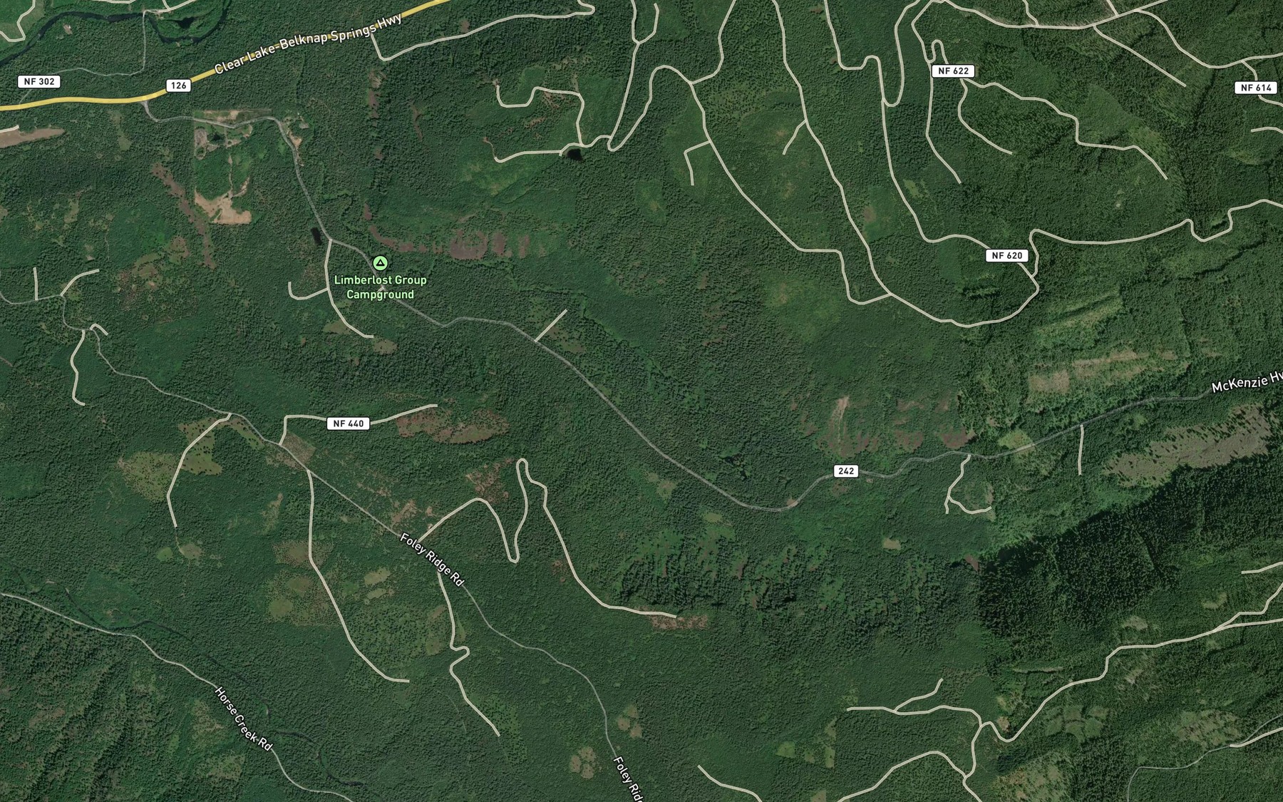 Satellite map of the White Branch