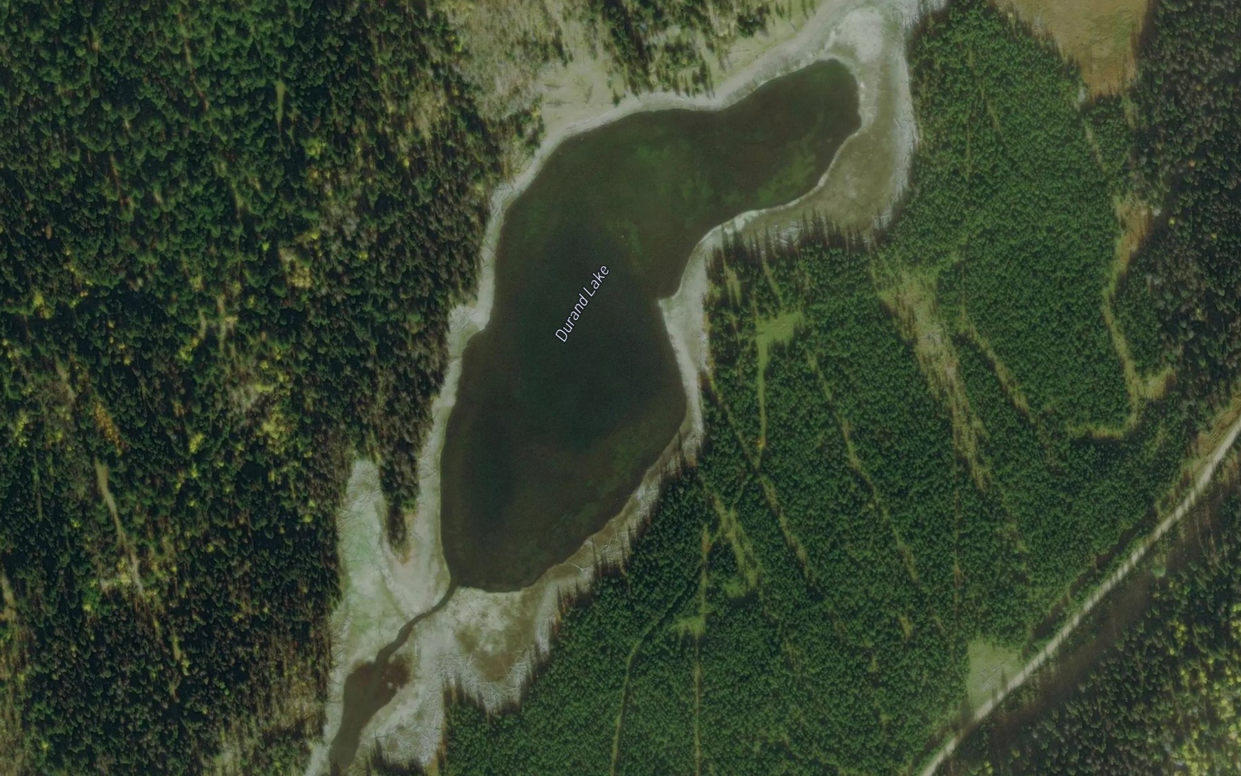 Satellite map of the Durand Lake
