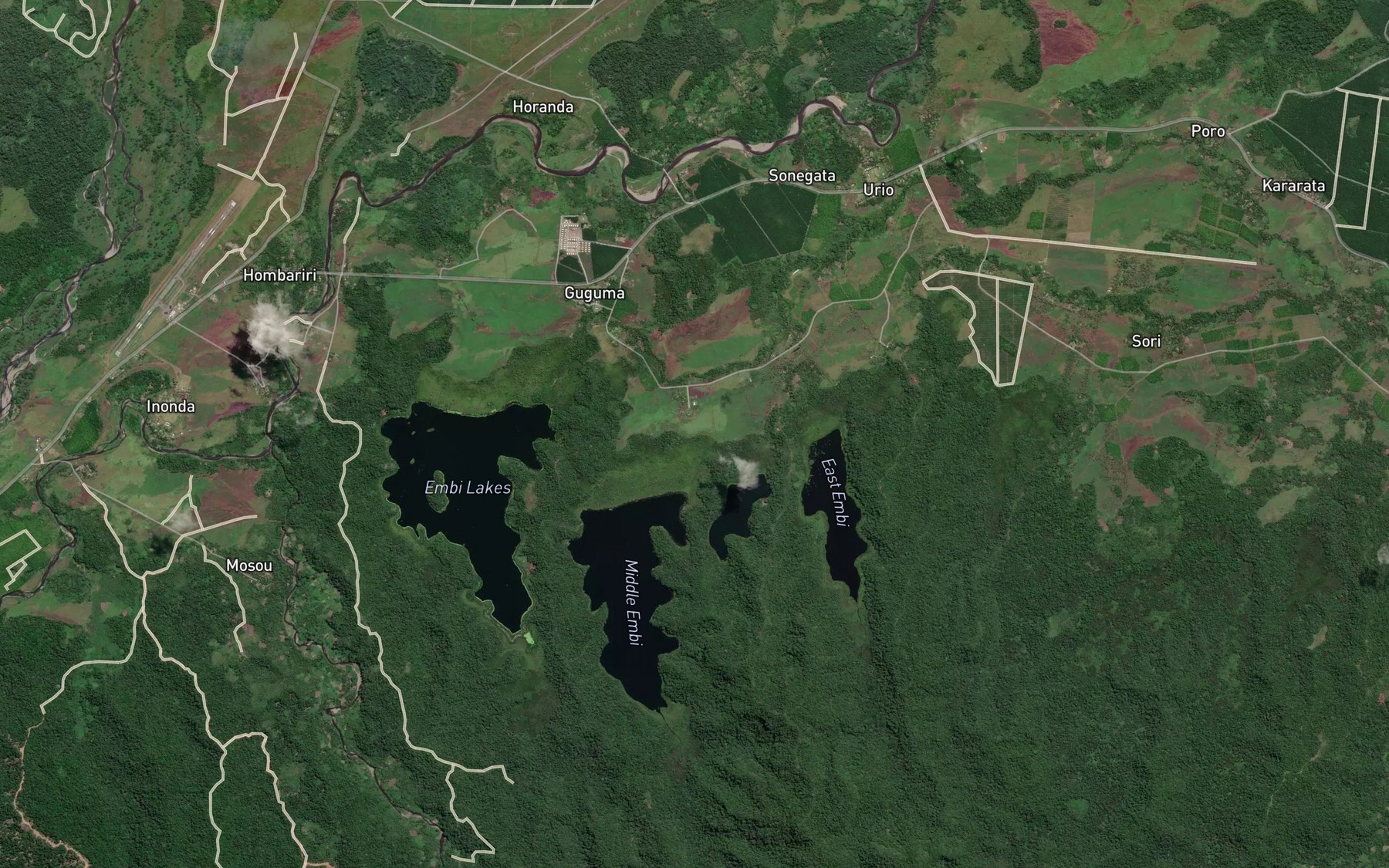 Satellite map of the Little Embi