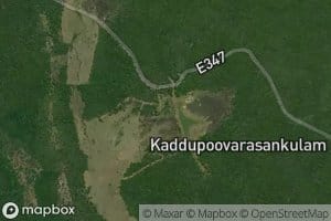 Kadduppuvarasan Kulam