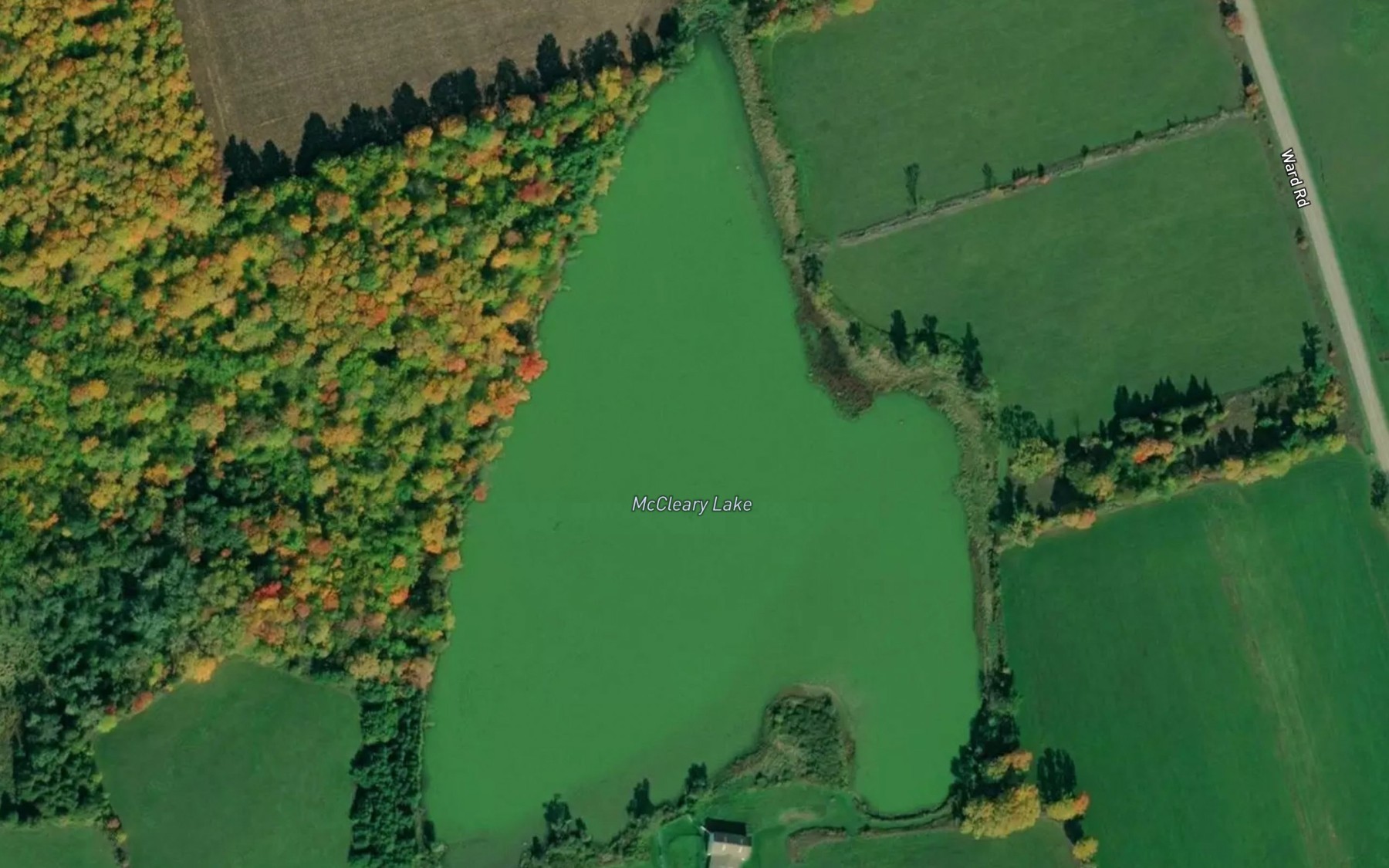 Satellite map of the McCleary Lake