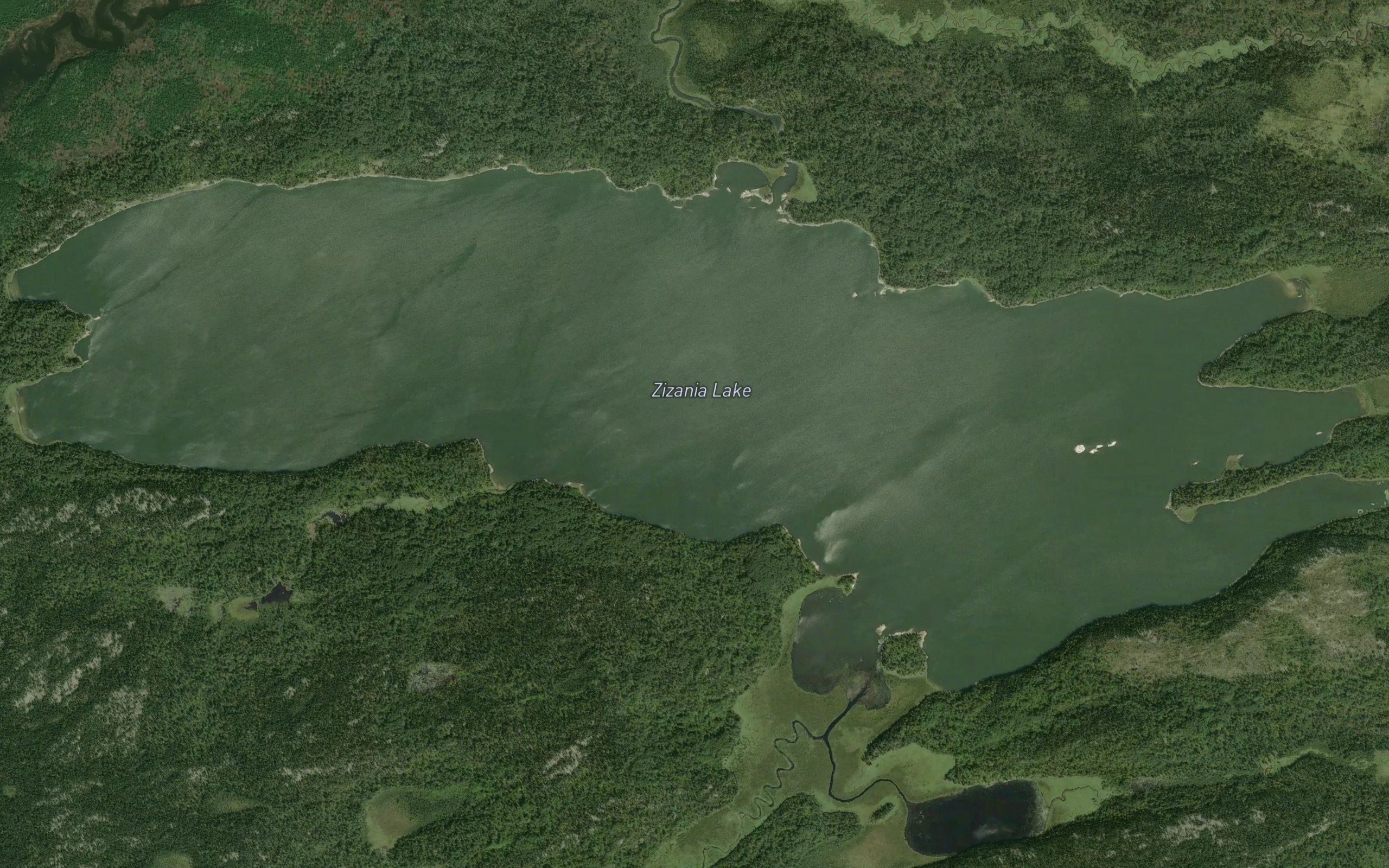 Zizania Lake