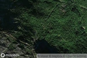 Middagselva
