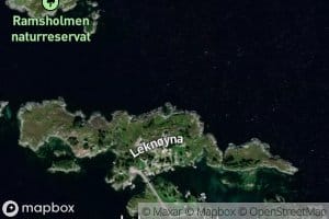 Hestevika