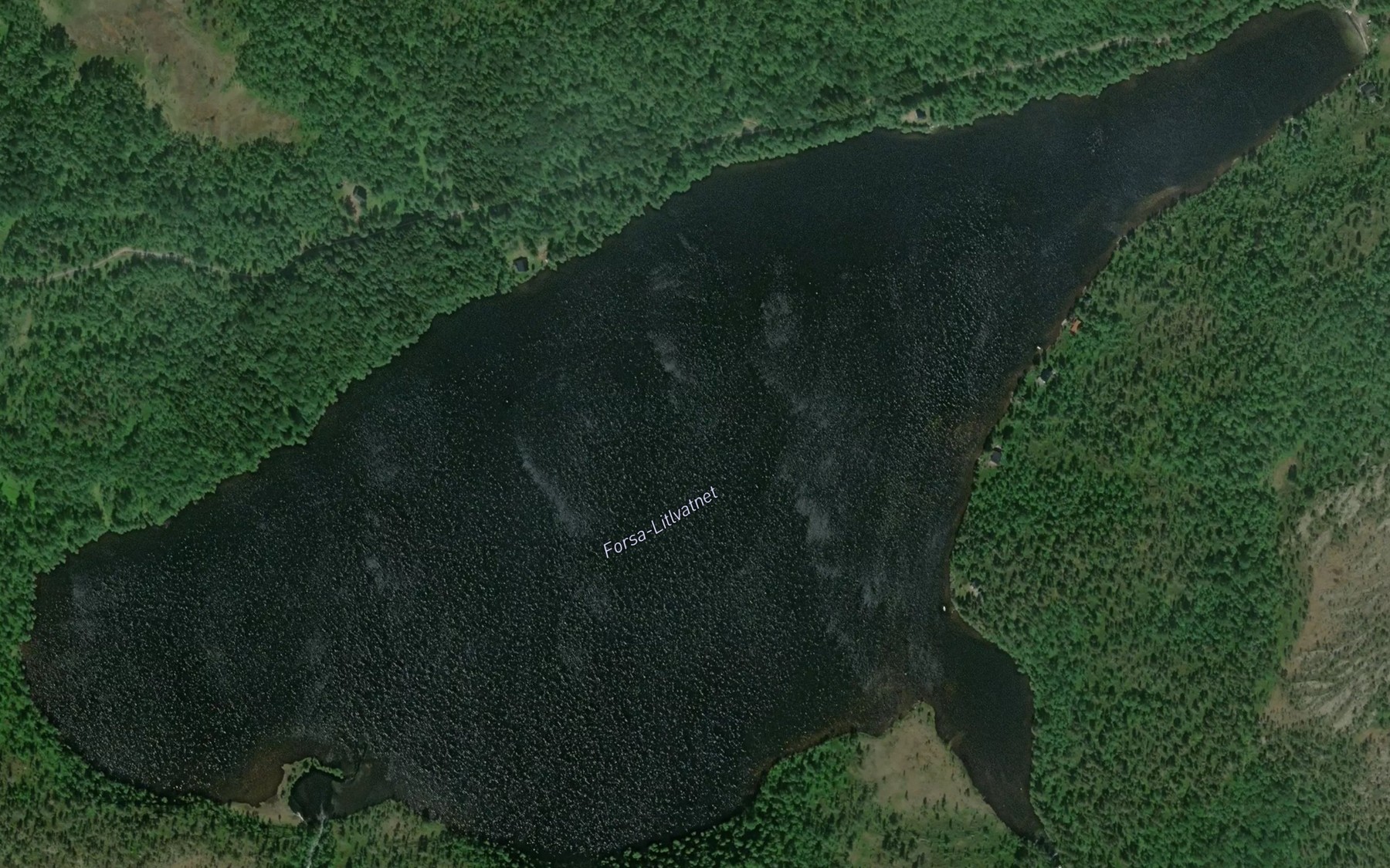 Satellite map of the Forsalitlvatnet