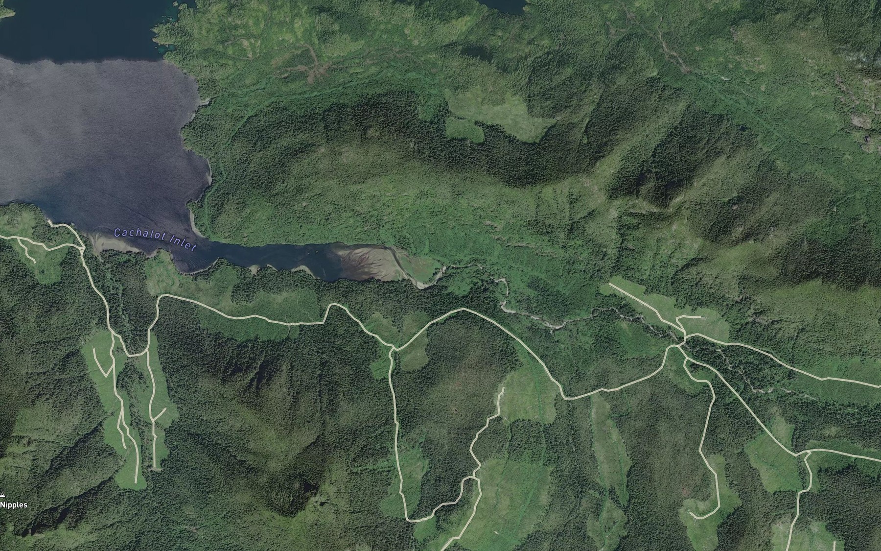 Satellite map of the Narrowgut Creek