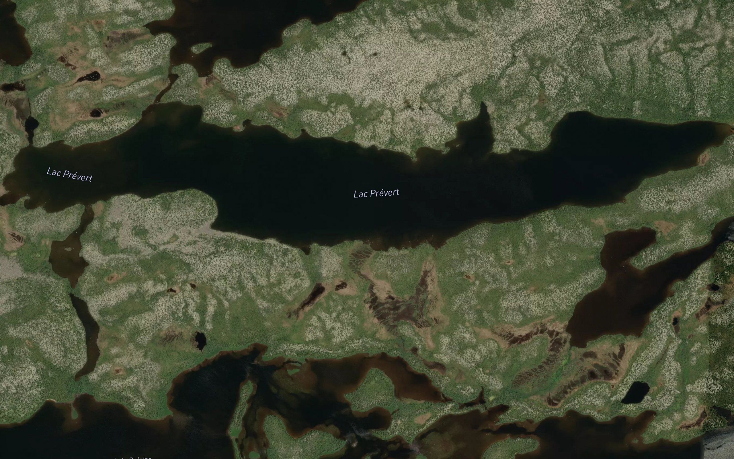 Lac Prevert