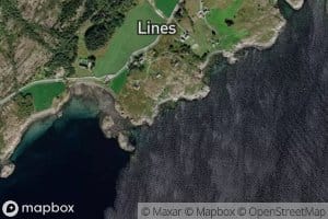 Bokkavika