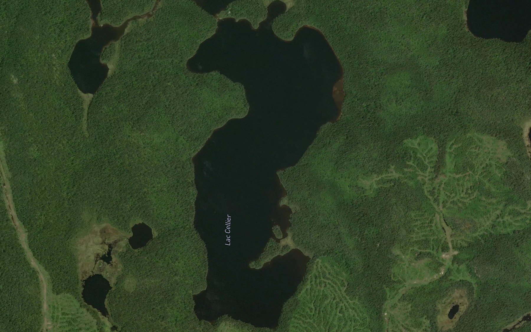 Satellite map of the Lac Cellier