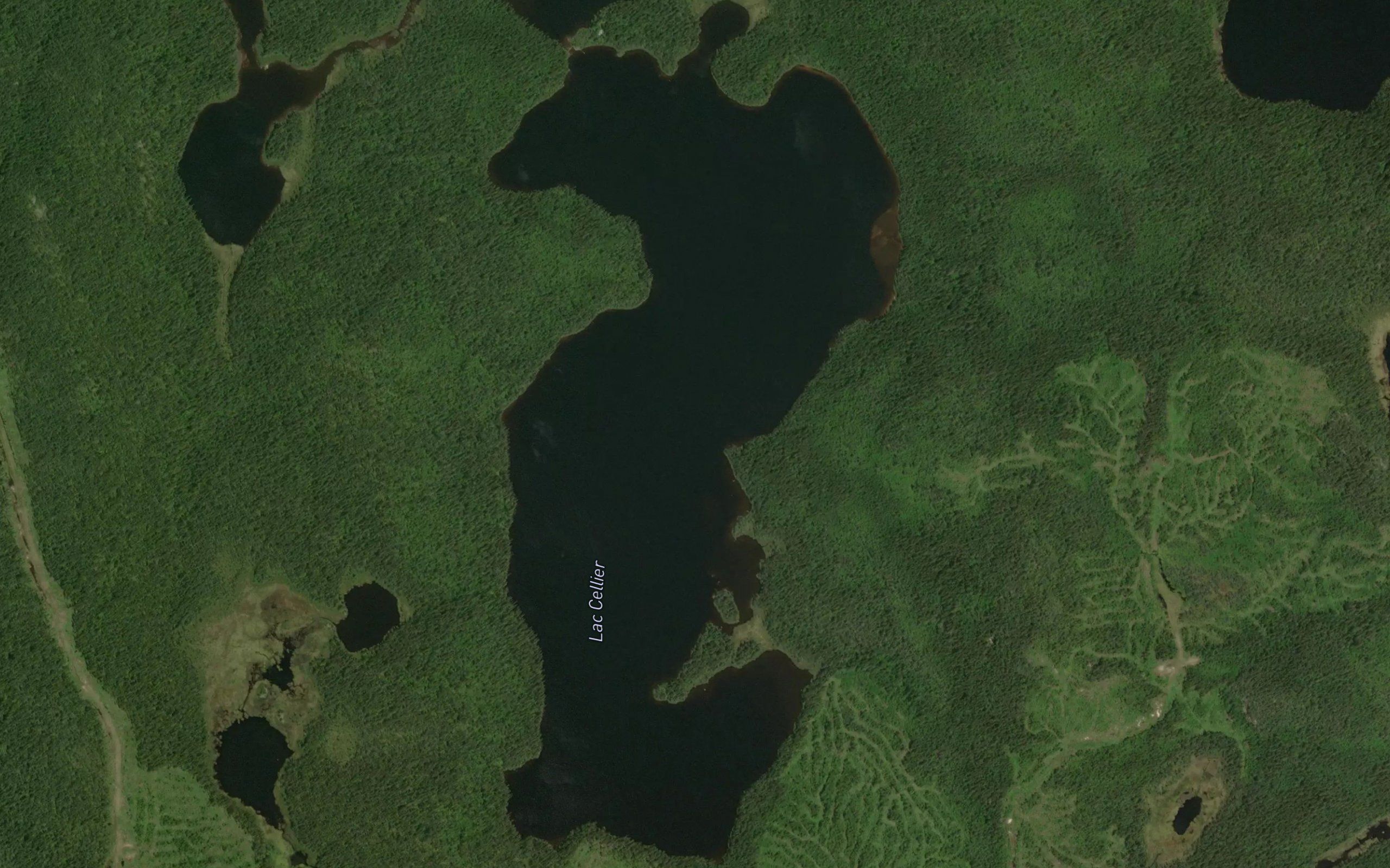 Lac Cellier