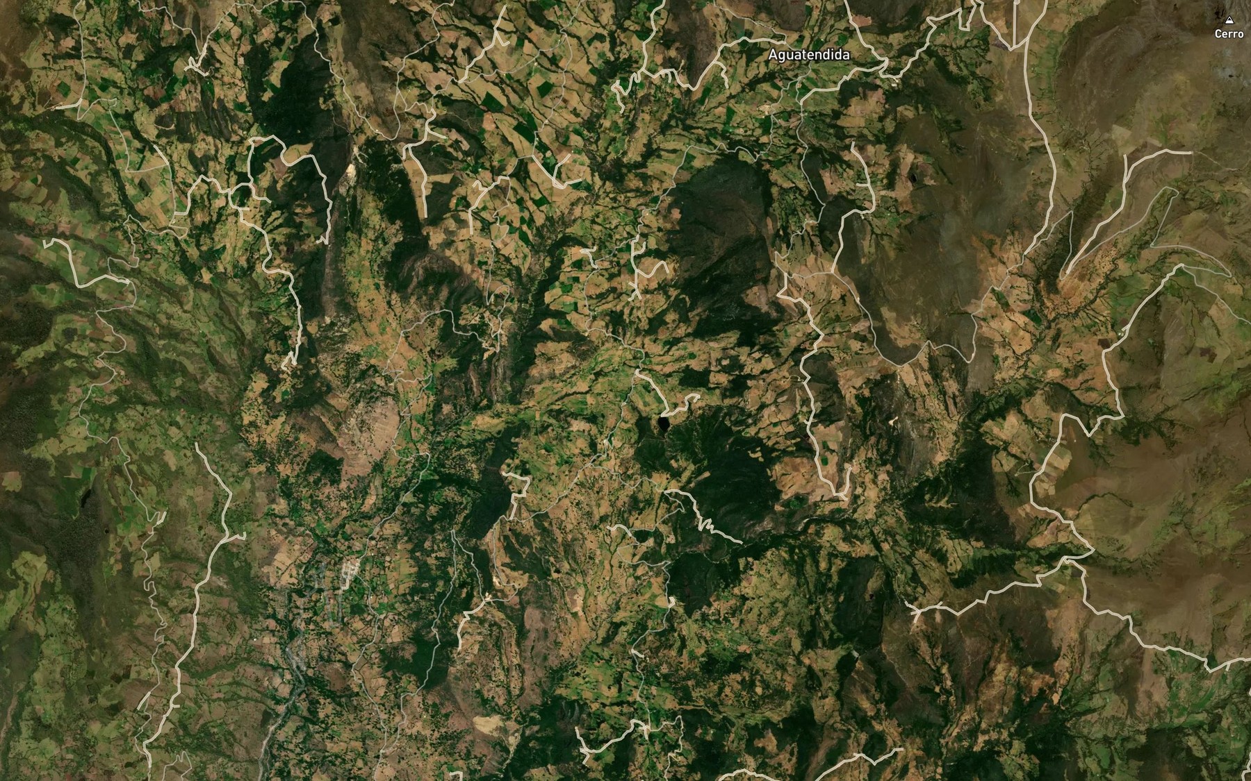 Satellite map of the Laguna El Picacho