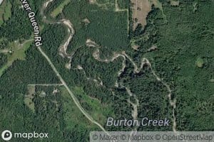 Burton (Trout) Creek