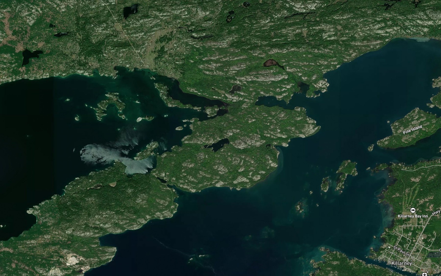 Satellite map of the Badgeley Lake