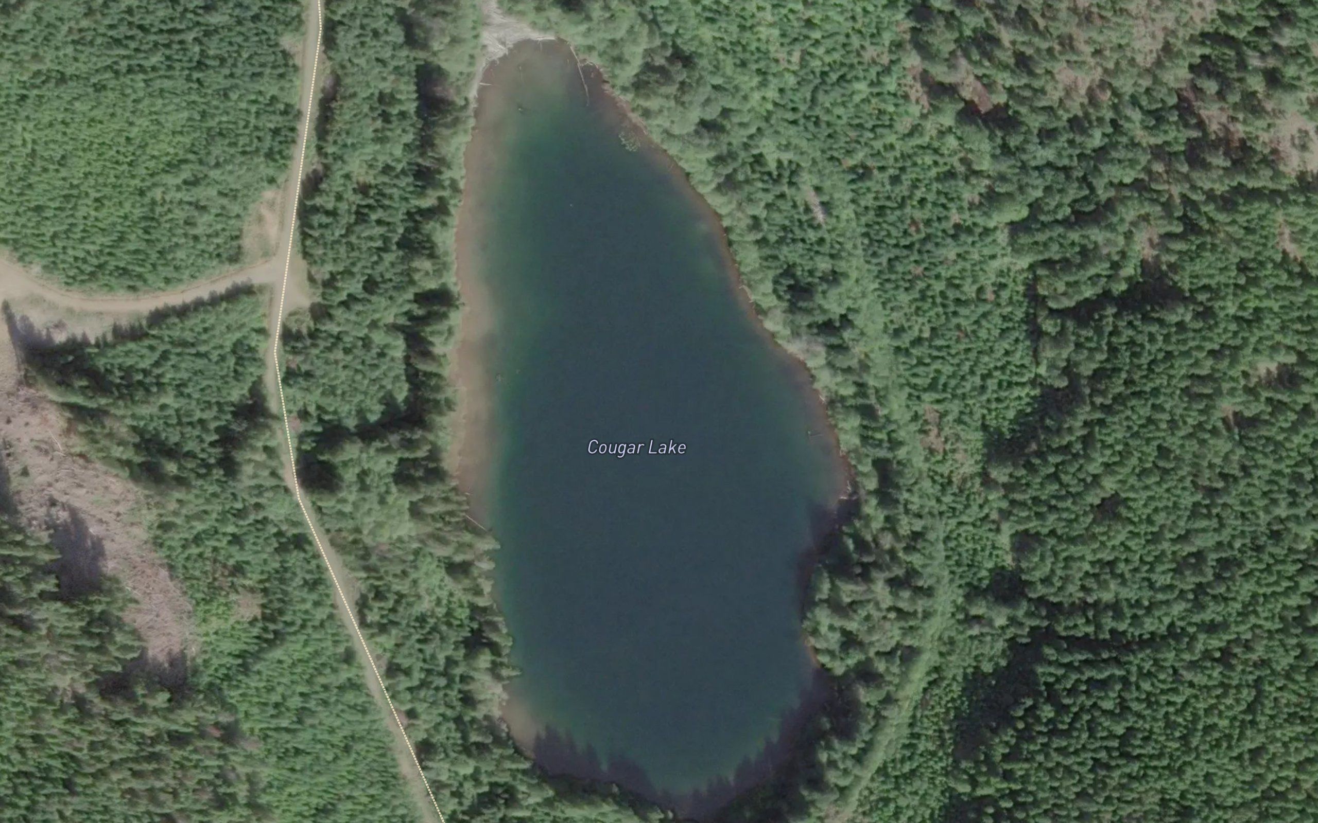 Cougar Lake