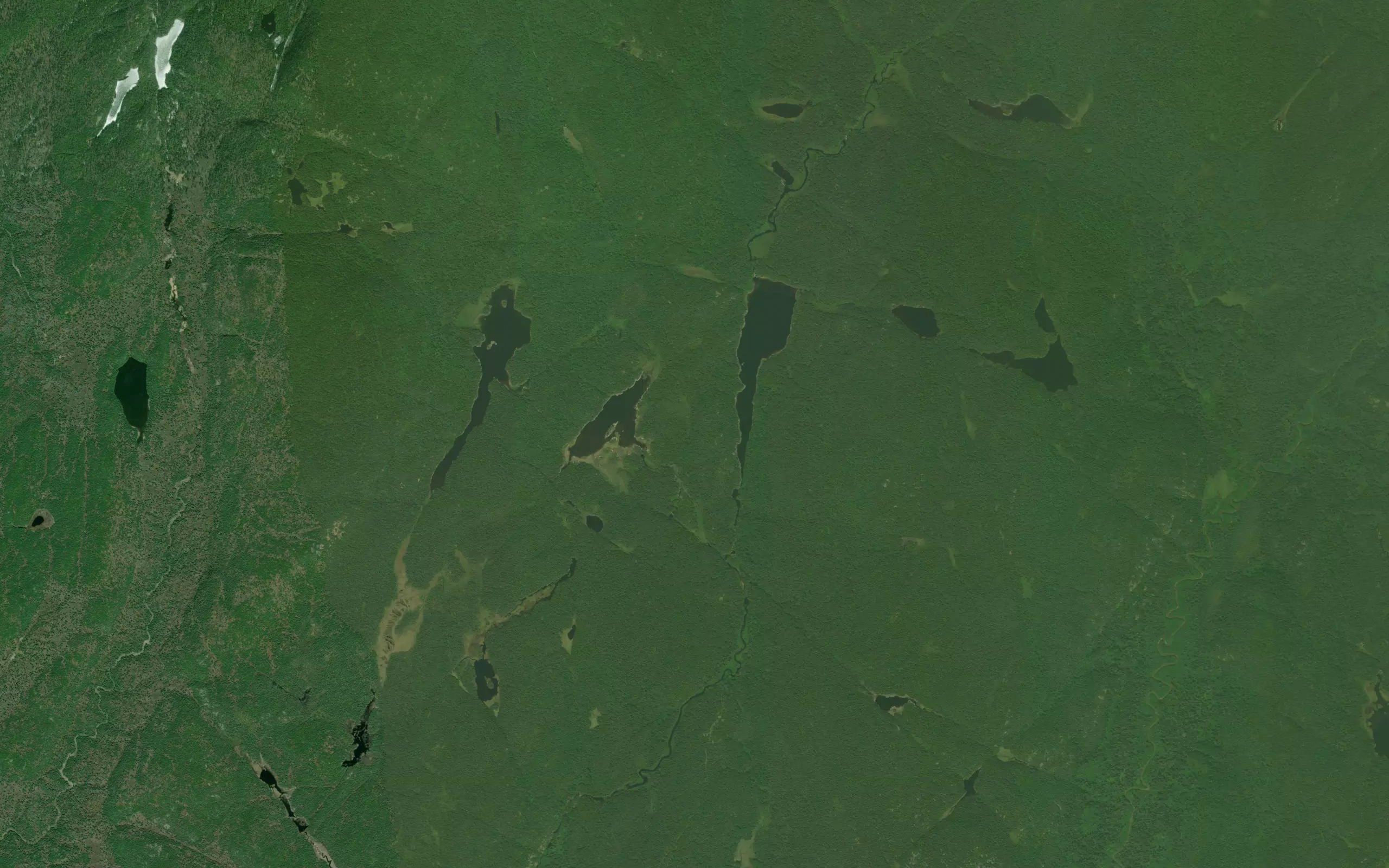 Peacock Creek
