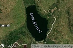 Bald Hill Pond