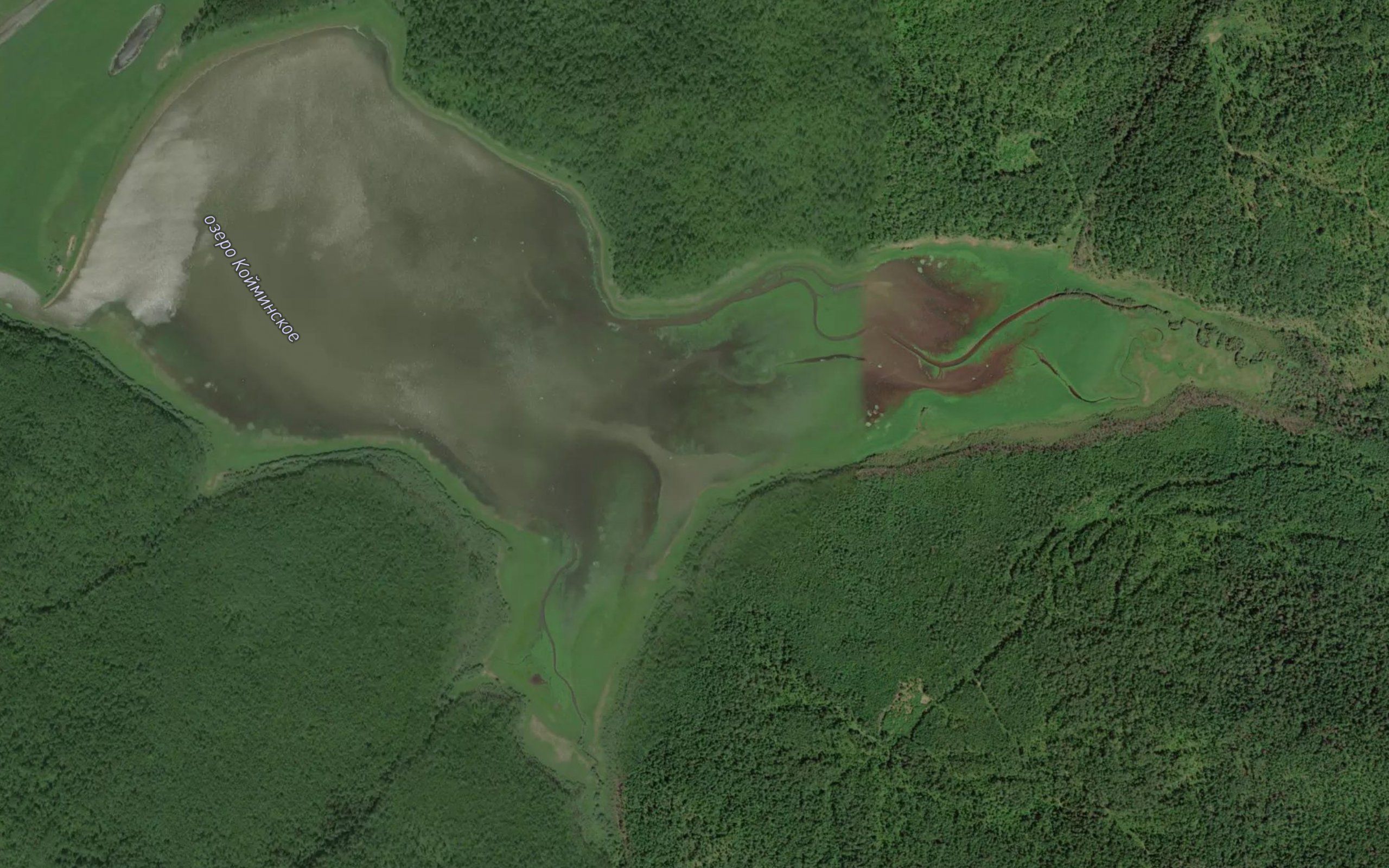 Ozero Koyminskoye