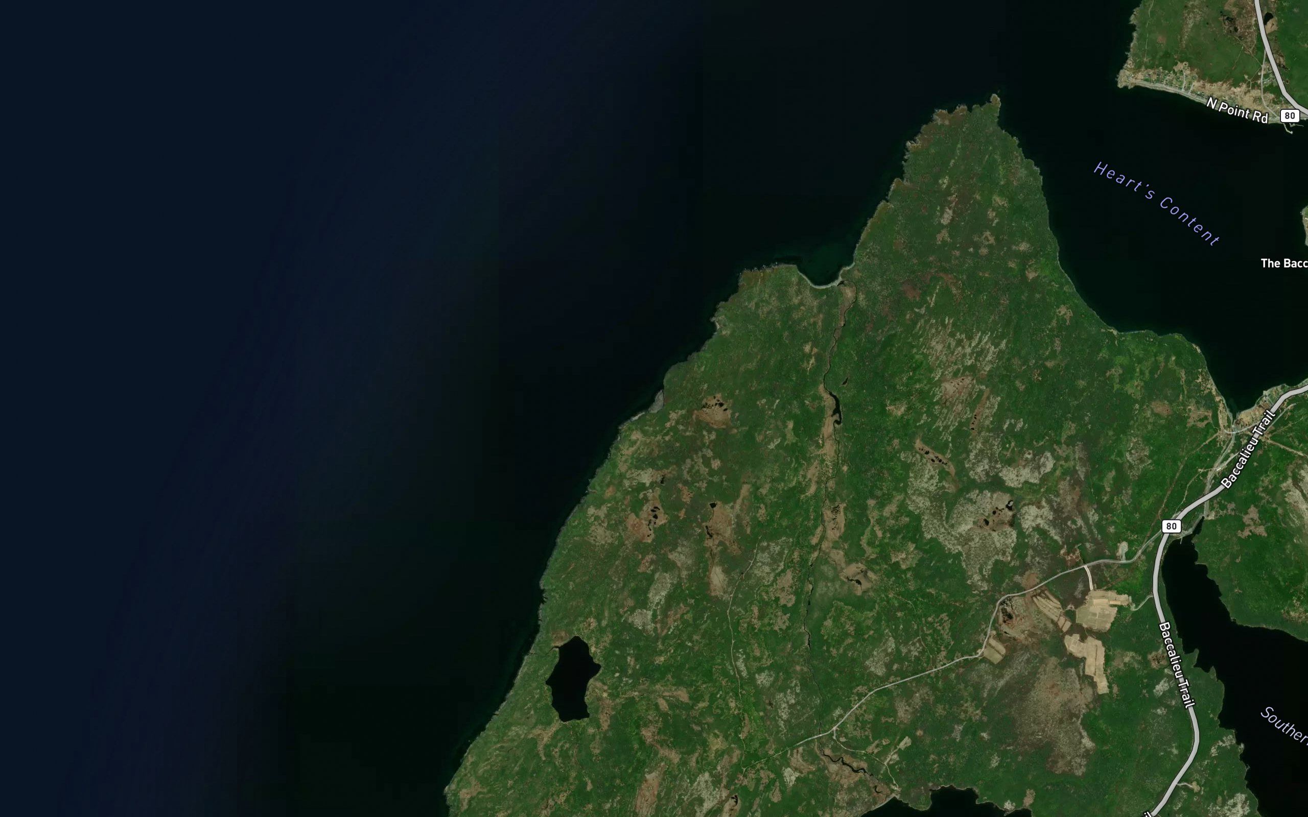 Bear Cove