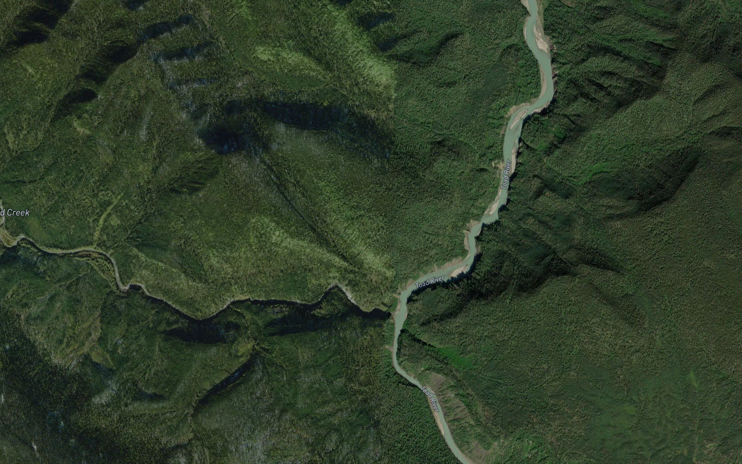 Scaffold Creek