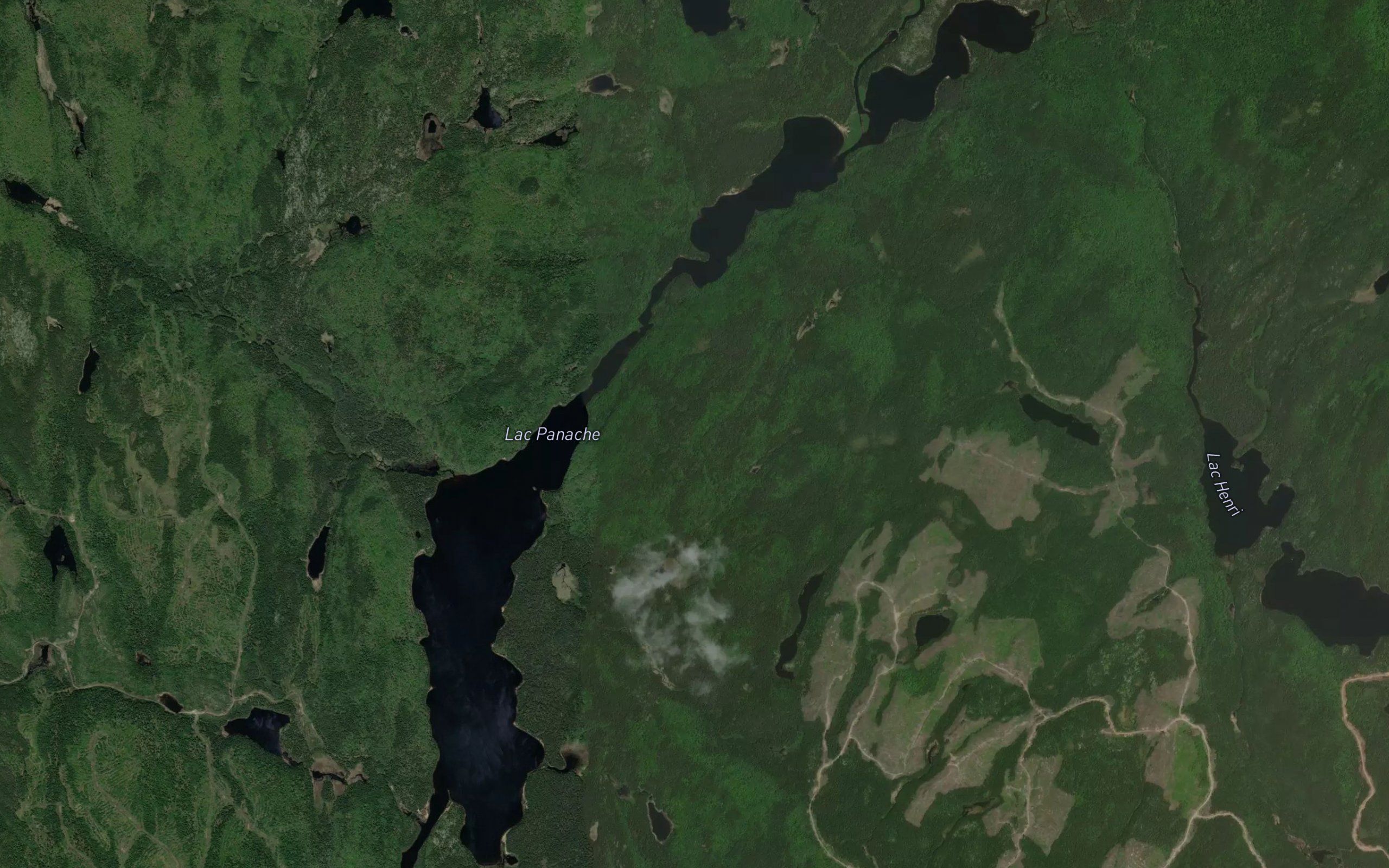 Lac Panache