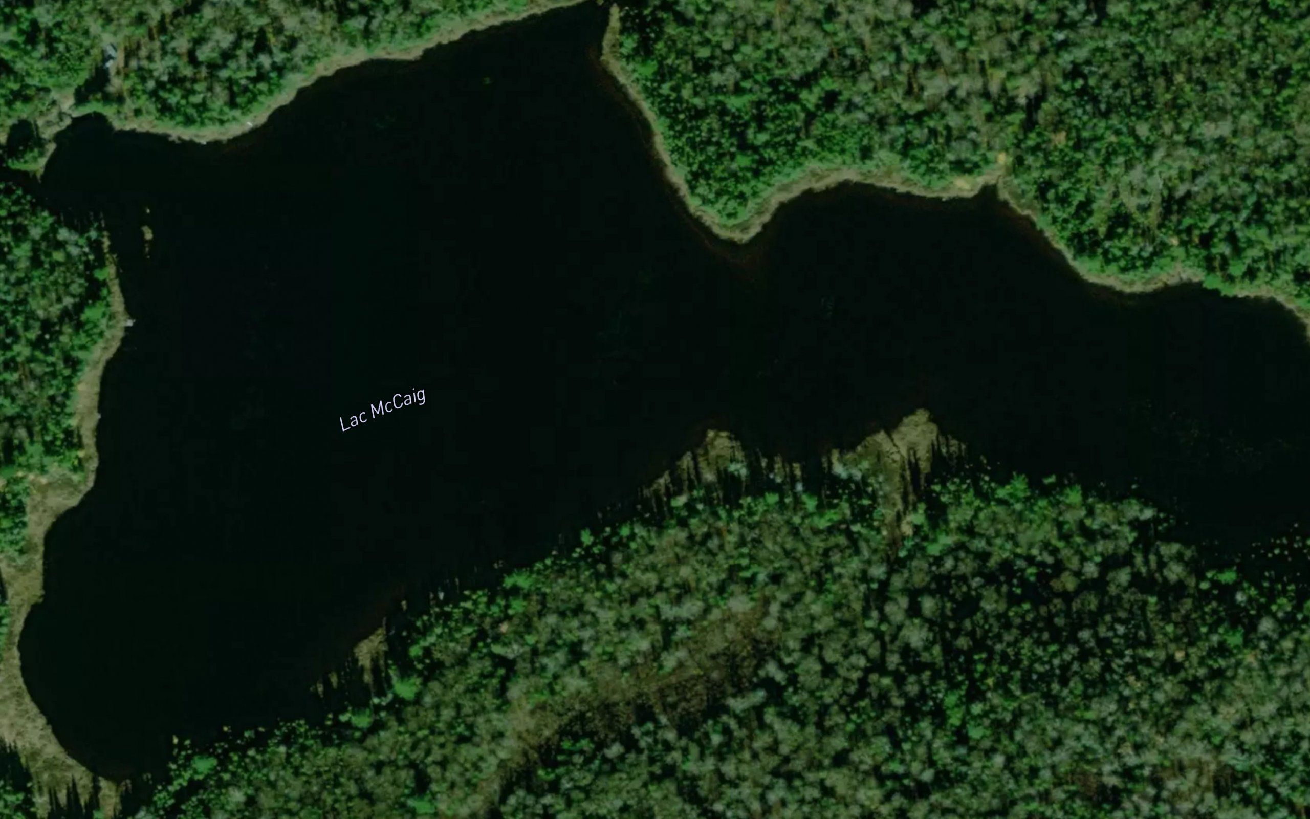 Lac McCaig