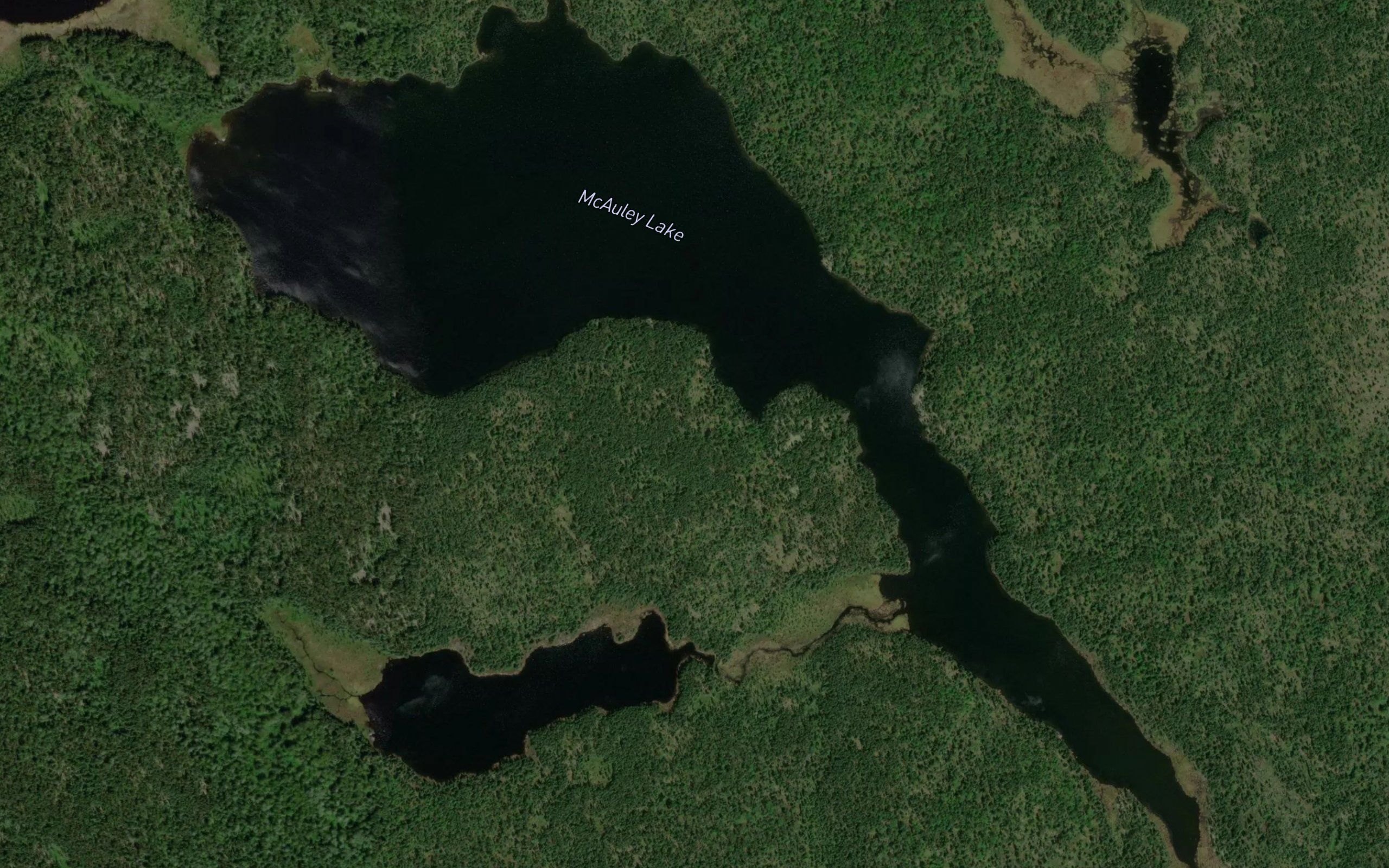 McAuley Lake