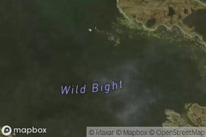 Wild Bight