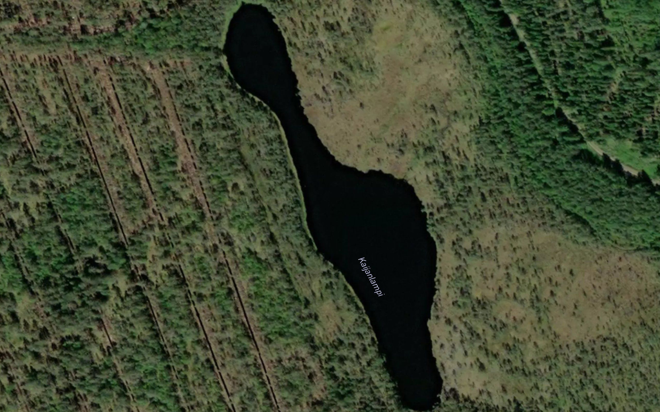 Kaijanlampi