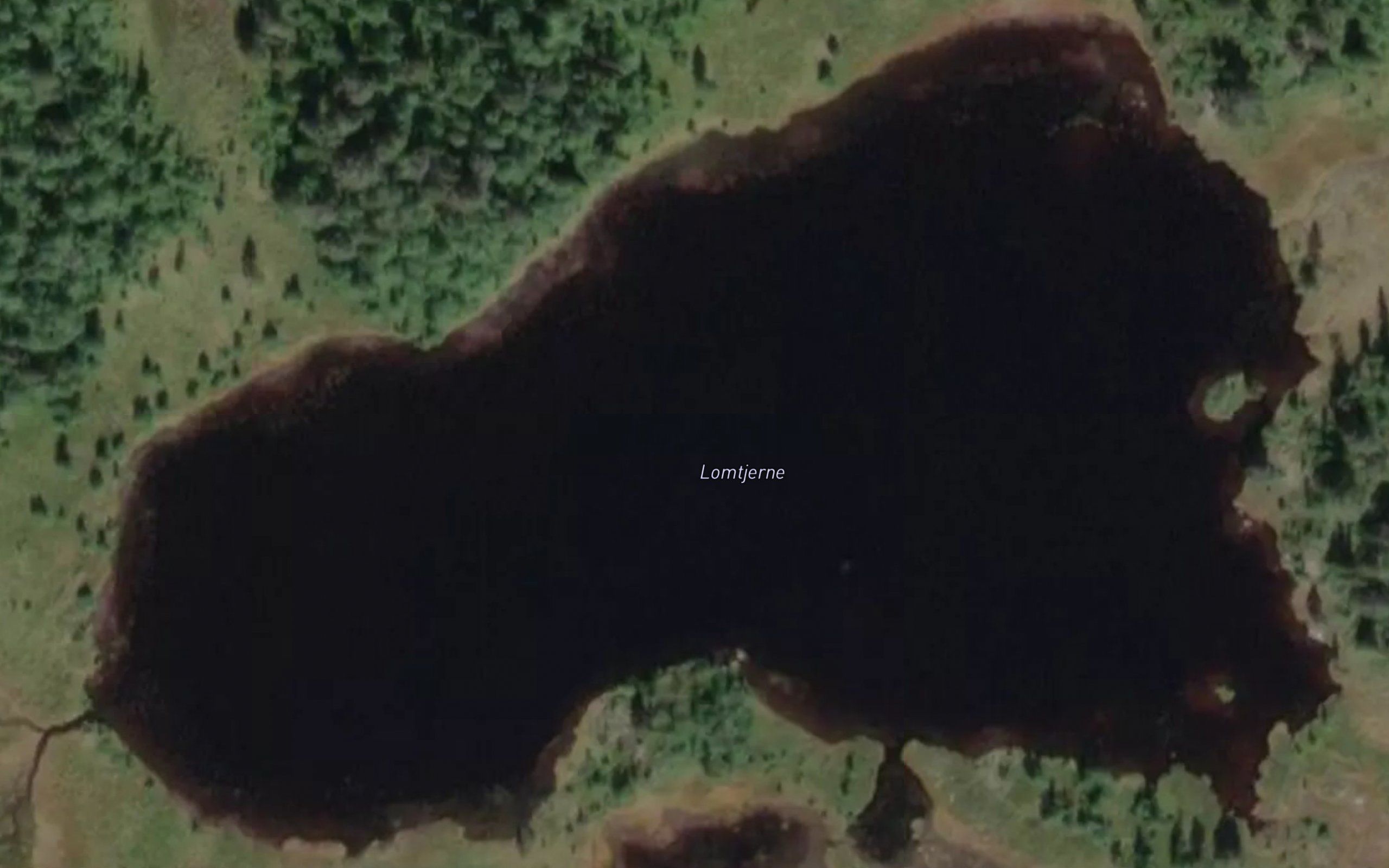 Lomtjern