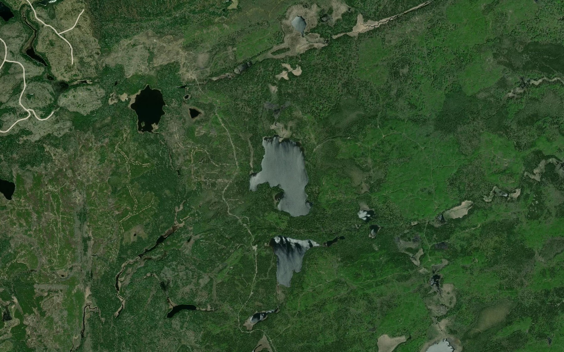 Satellite map of the Royle Lake