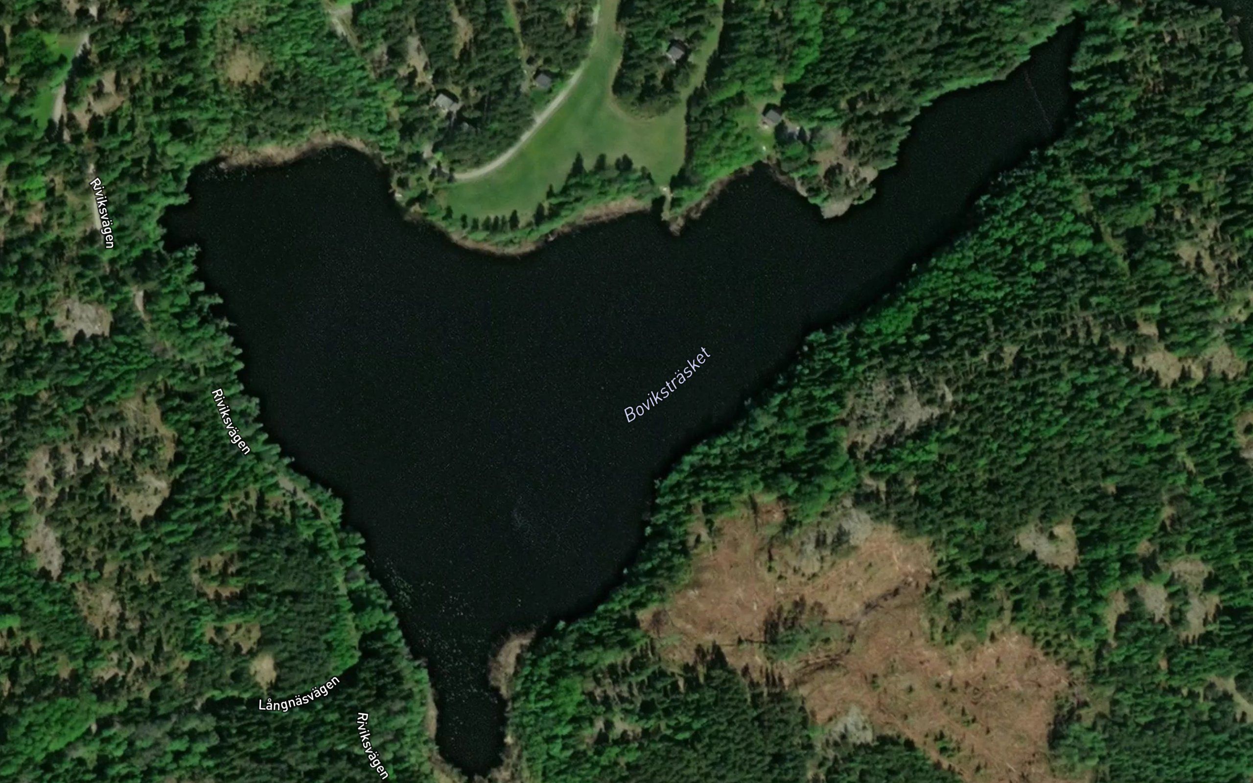 Bovikstrasket