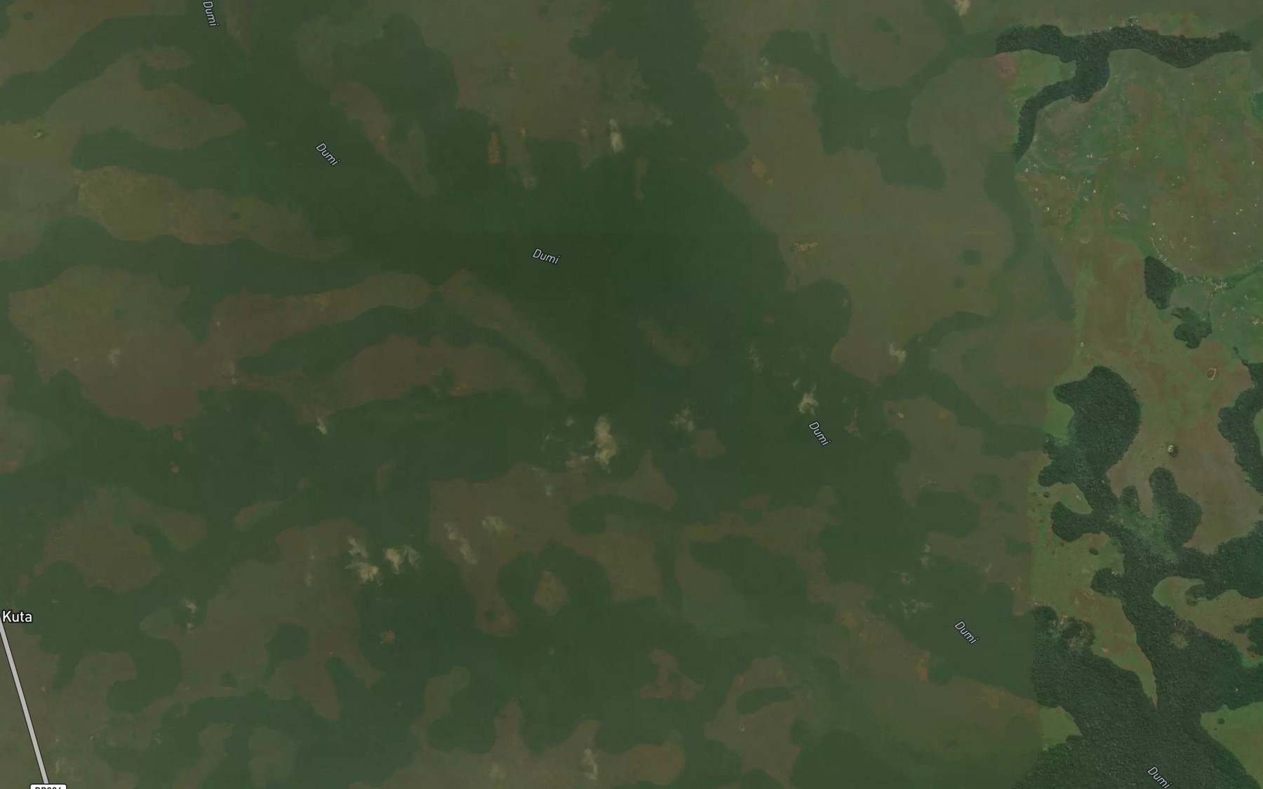 Satellite map of the Lokwa