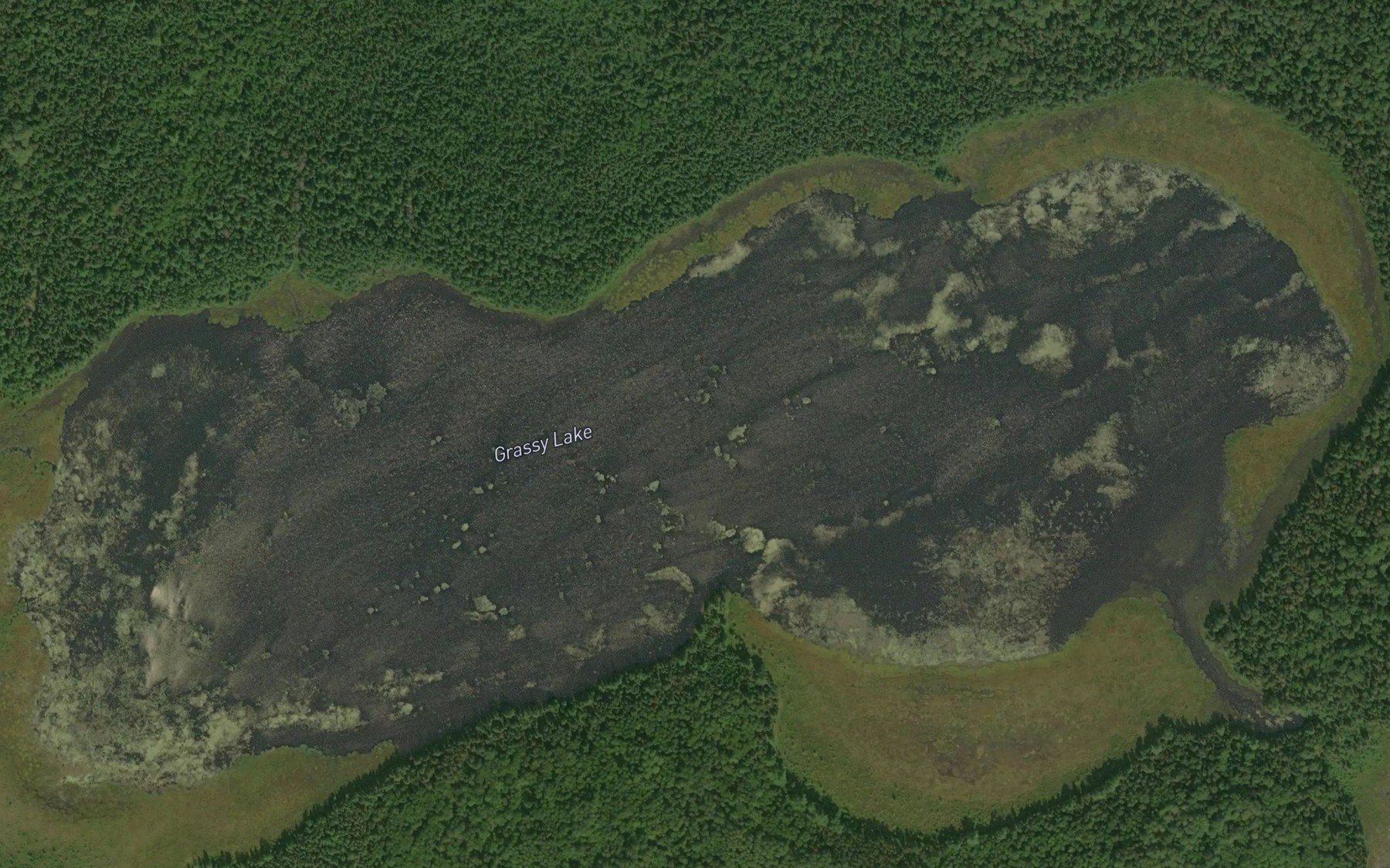 Satellite map of the Grassy Lake