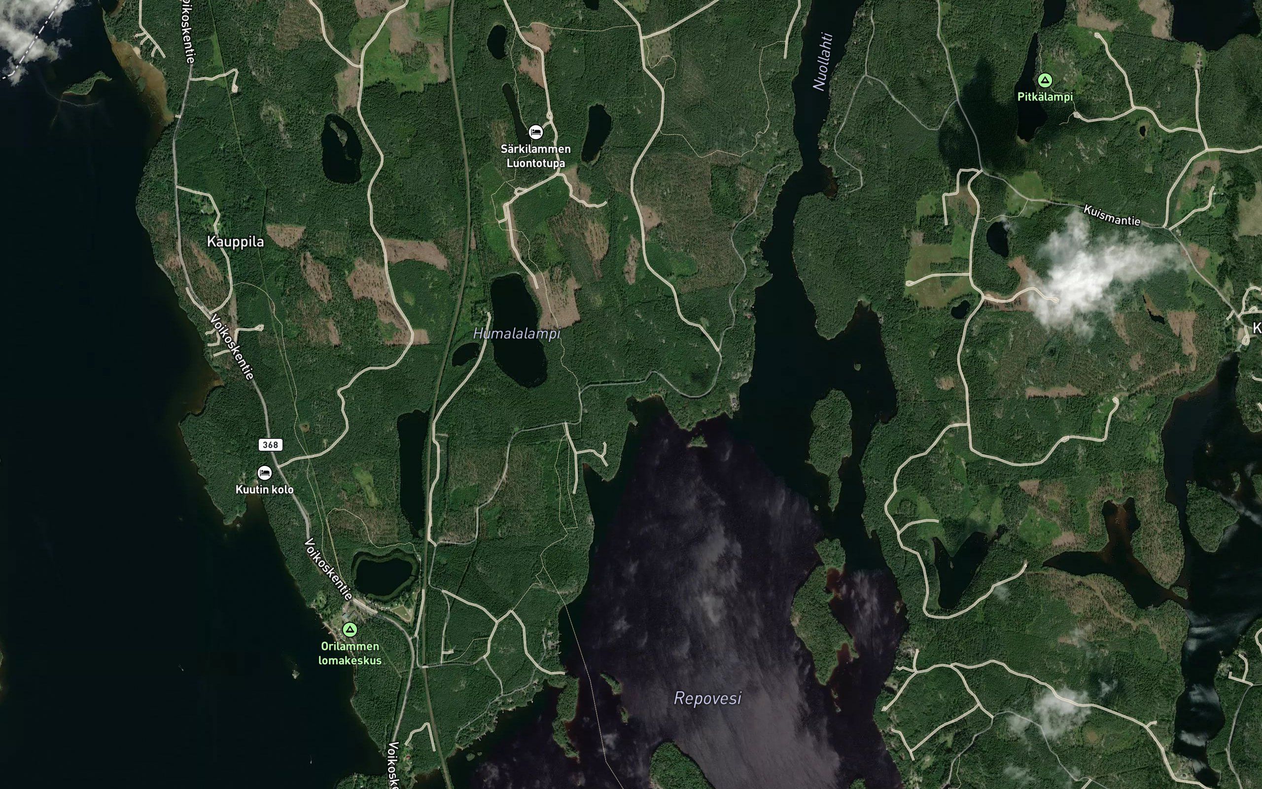 Kannuslamminoja