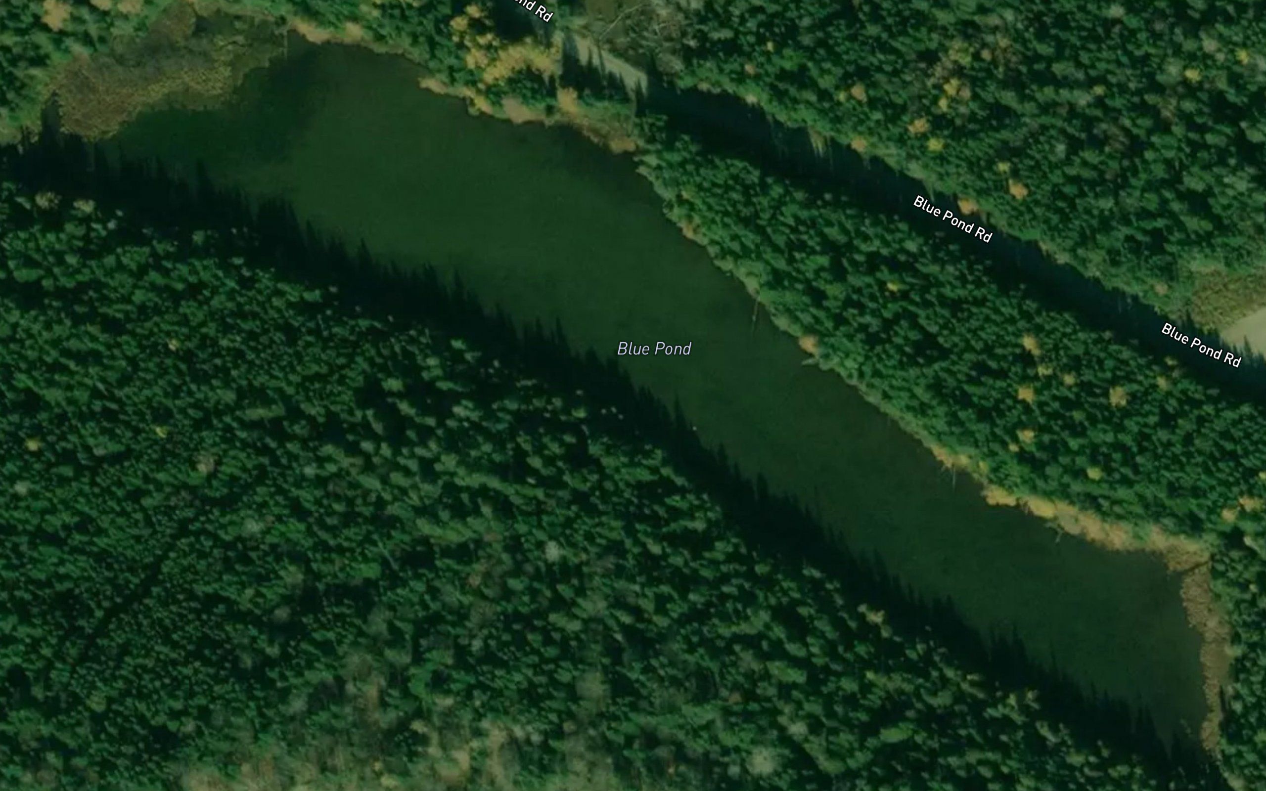 Blue Pond