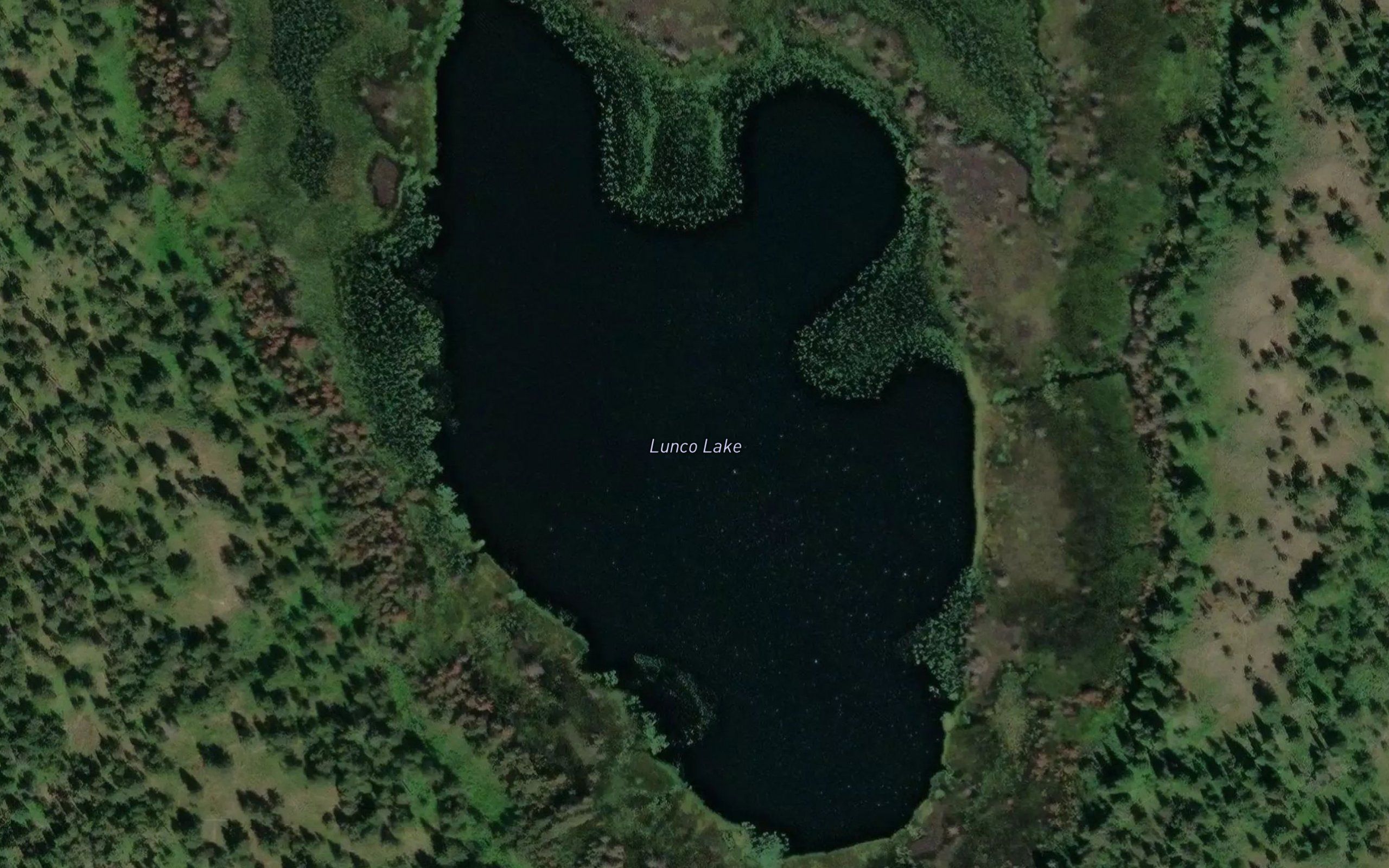 Junco Lake